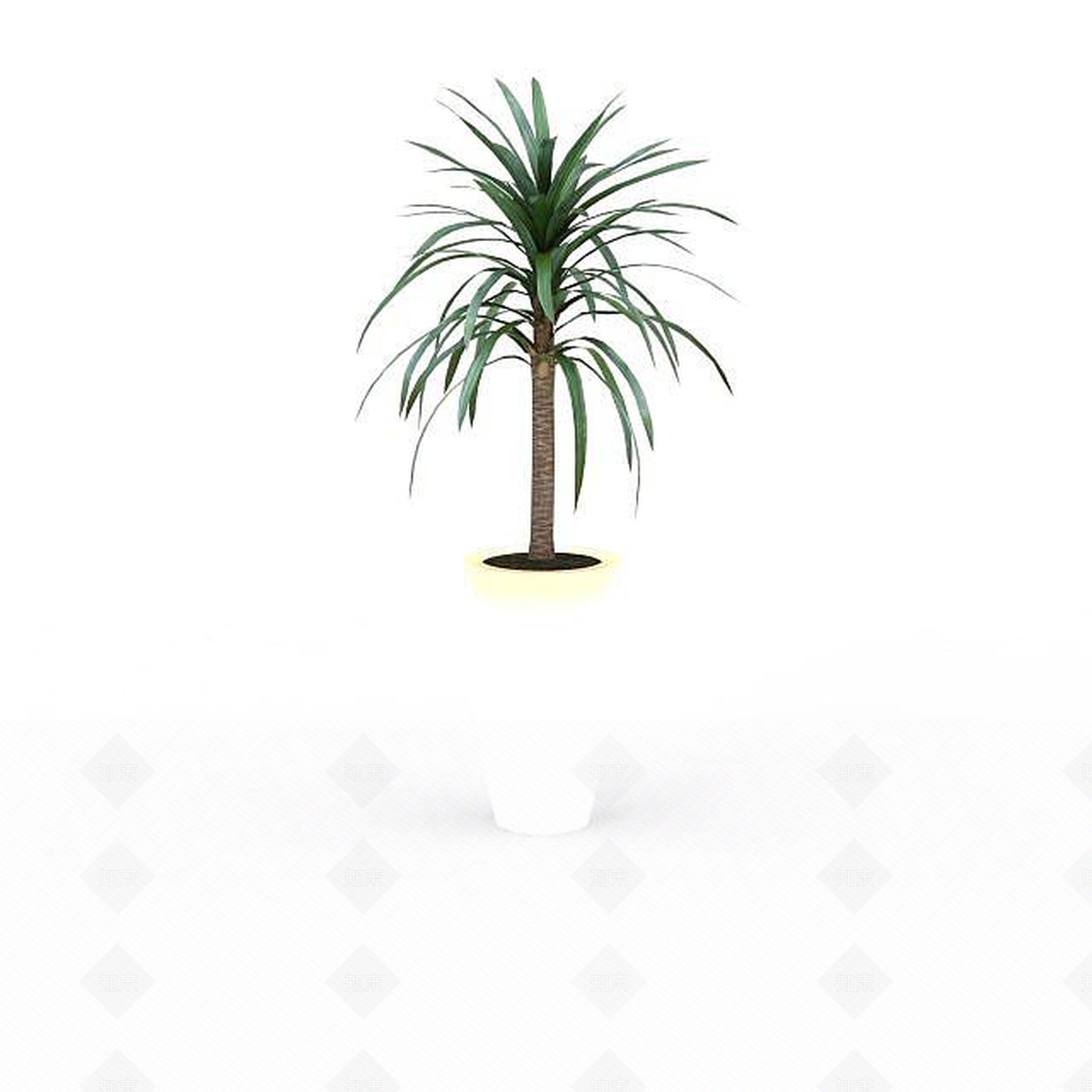 现代绿化盆栽3D模型下载【ID:1196528511】