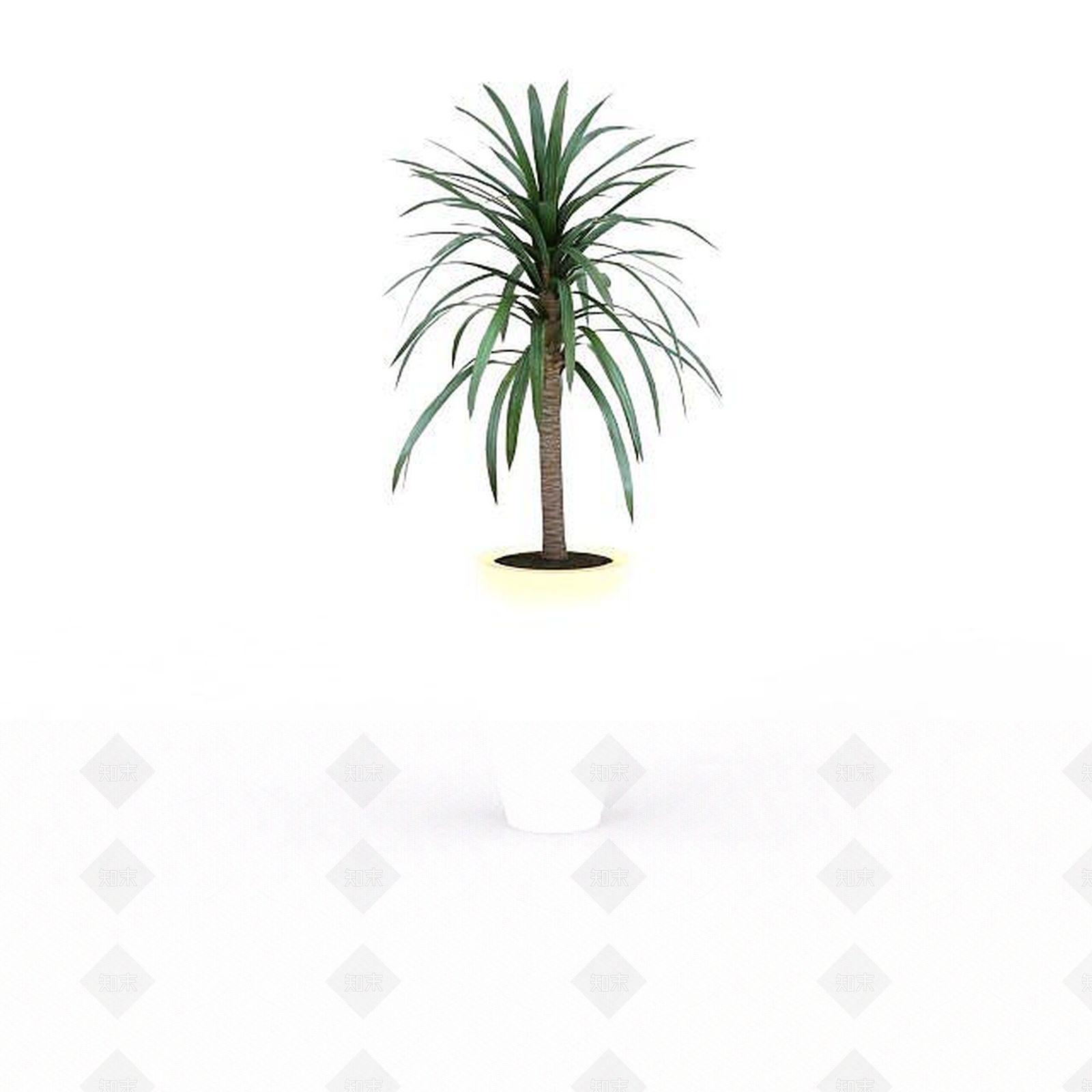 现代绿化盆栽3D模型下载【ID:1196528511】