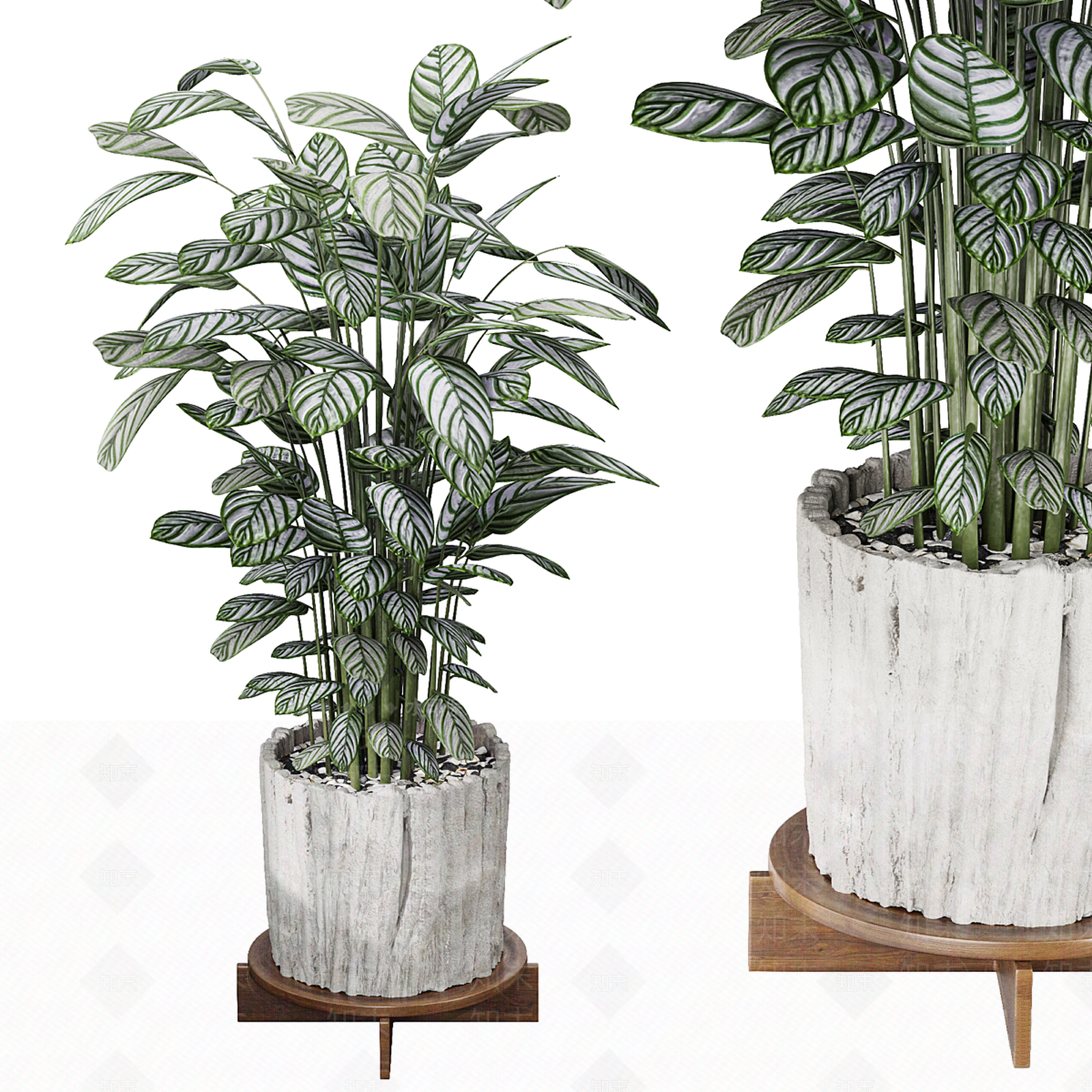 盆栽3D模型下载【ID:1196549771】