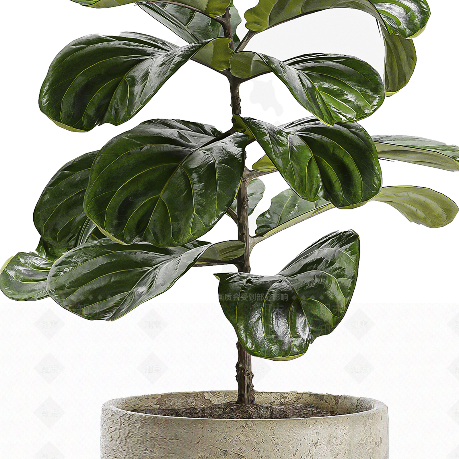 盆栽3D模型下载【ID:1196594908】