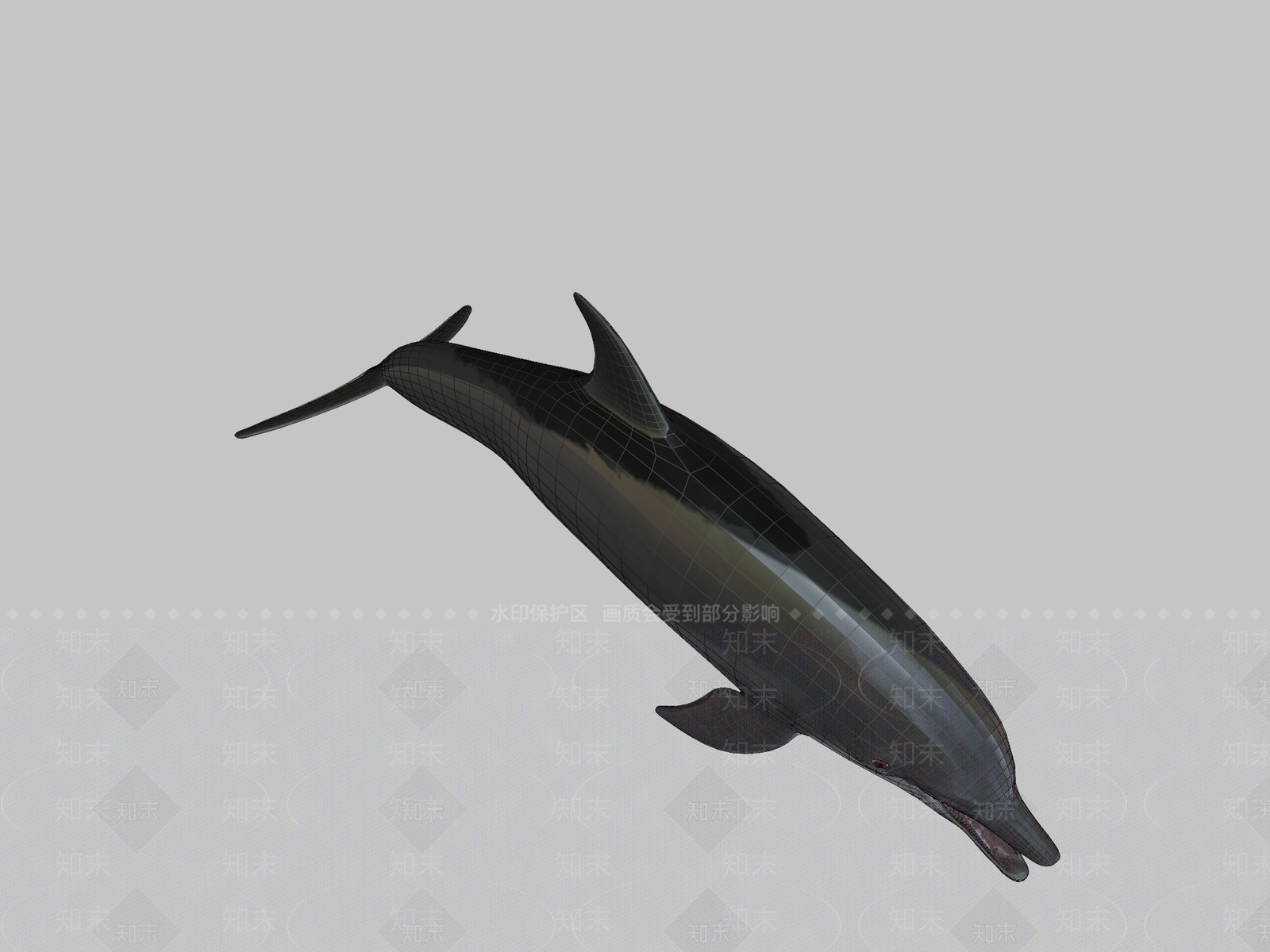 其他动物3D模型下载【ID:1196601418】