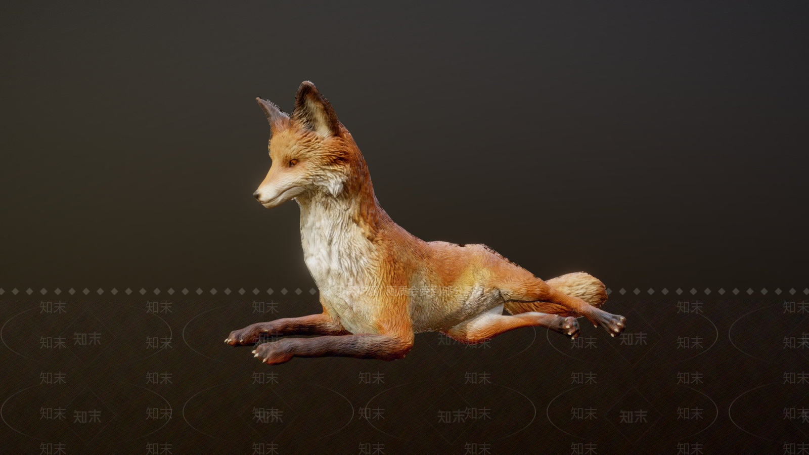 其他动物3D模型下载【ID:1196601657】