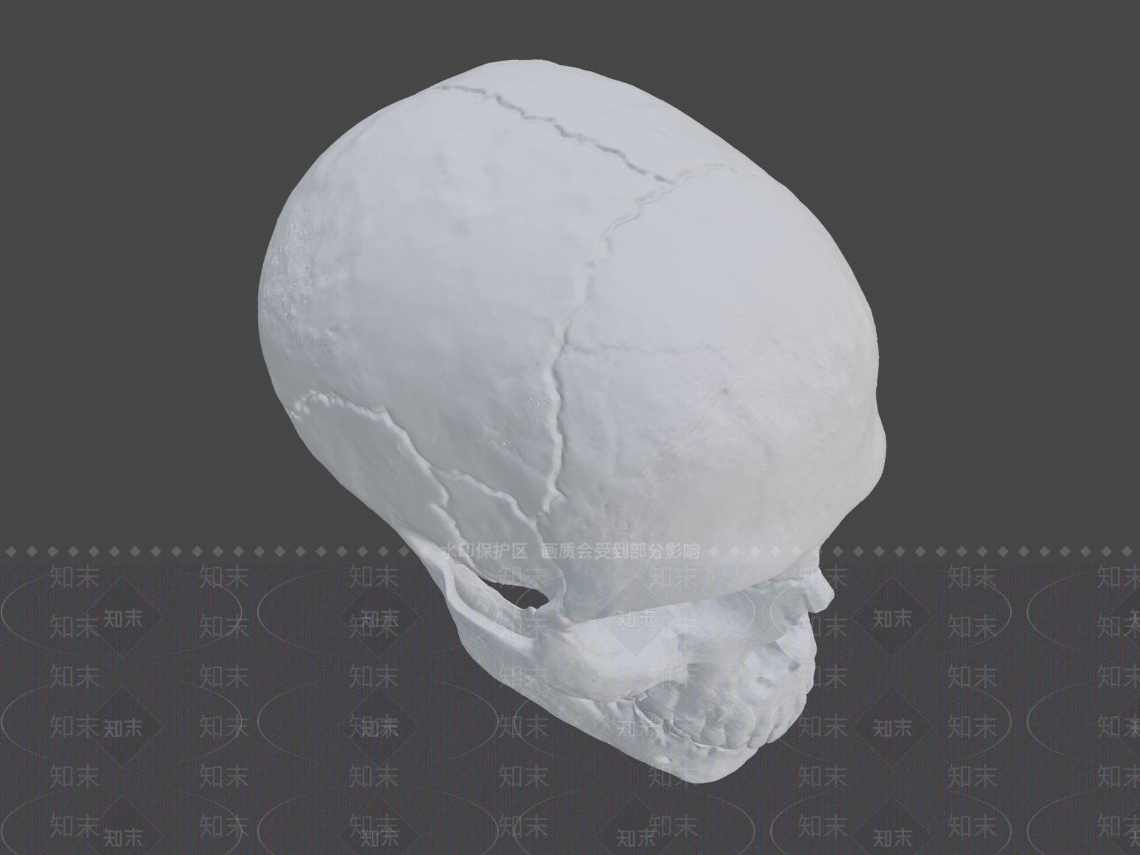 其他动物3D模型下载【ID:1196601835】