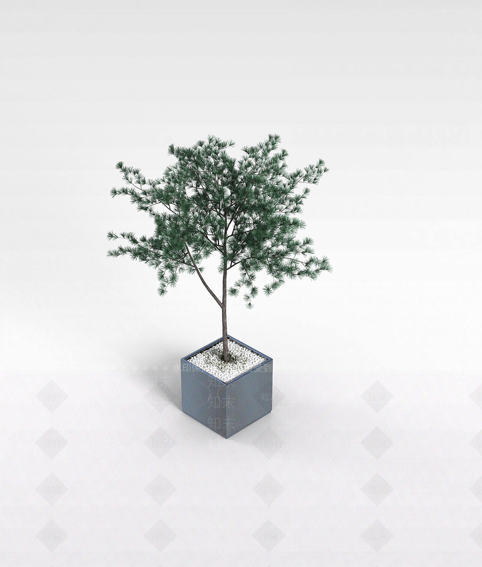 现代盆栽观赏植物3D模型下载【ID:1196603464】