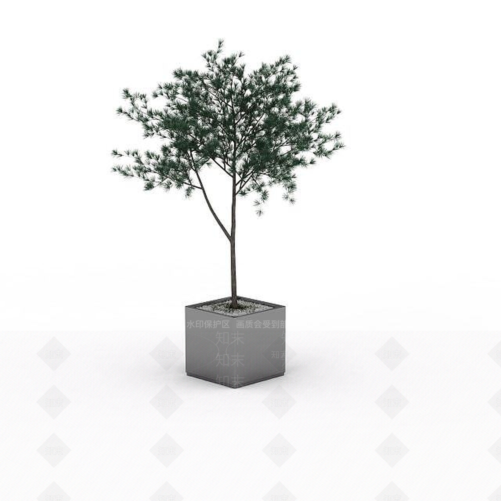现代盆栽观赏植物3D模型下载【ID:1196603464】
