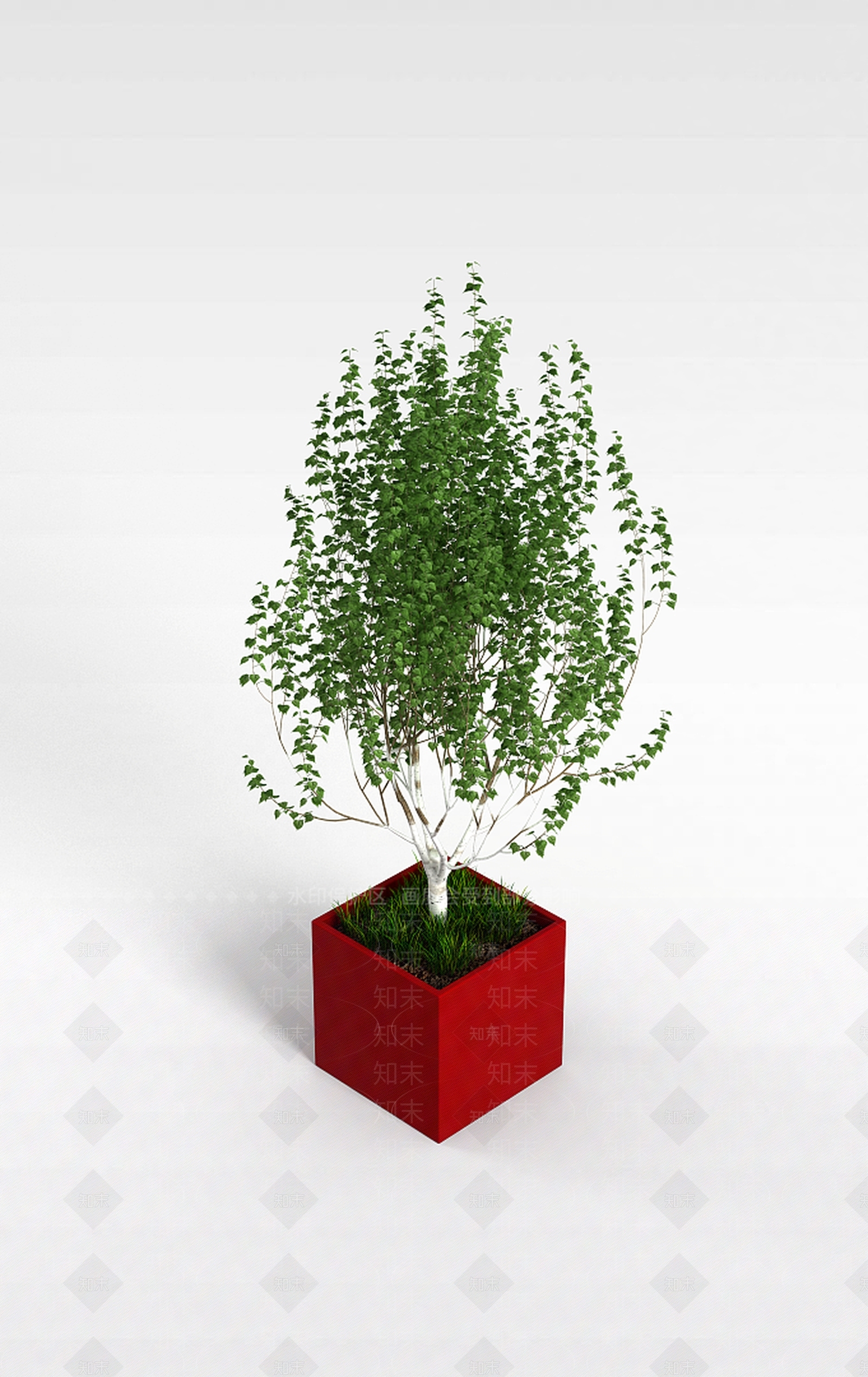 现代盆栽室内植物3D模型下载【ID:1196603478】