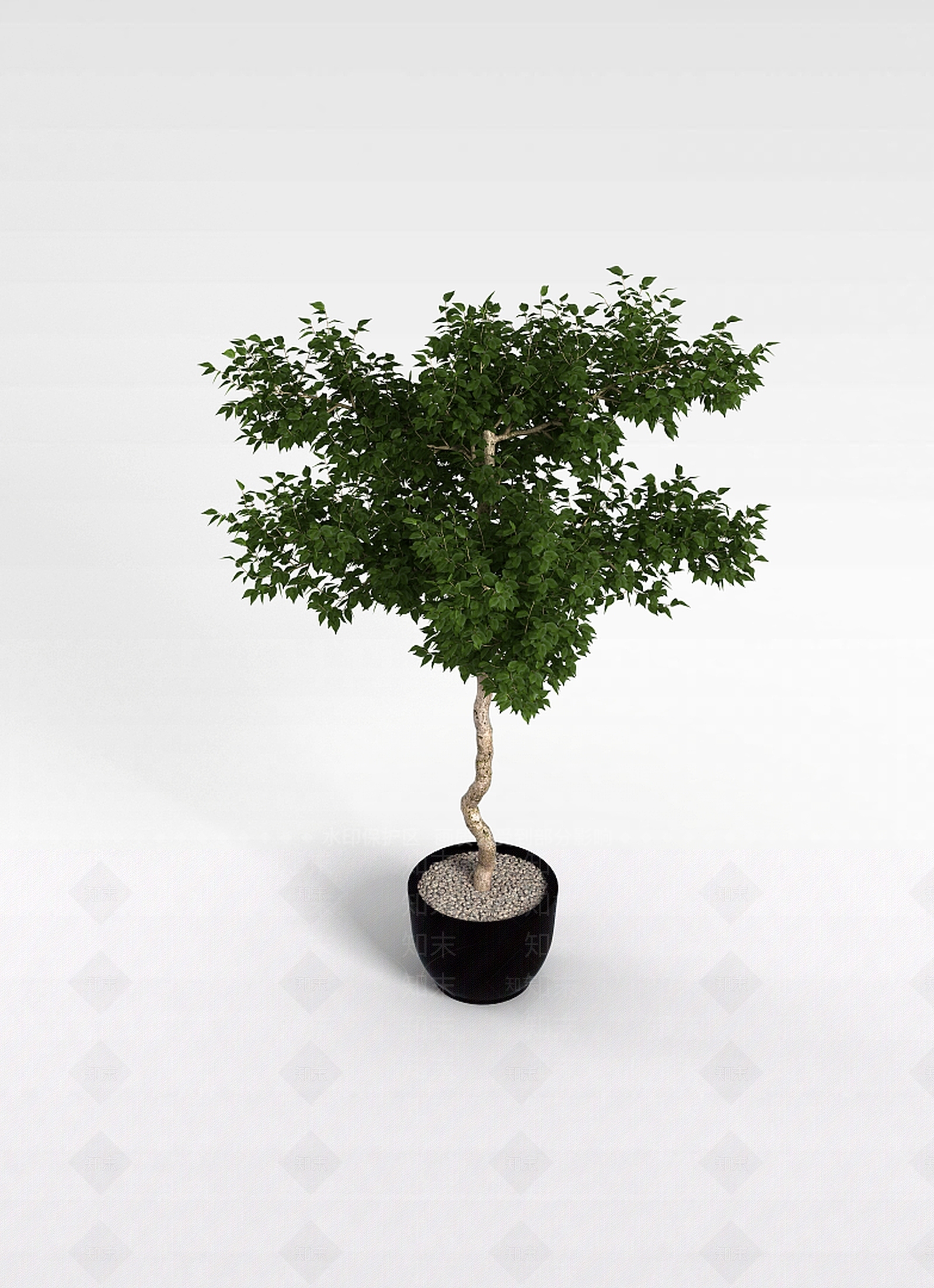 现代盆栽室内植物3D模型下载【ID:1196603640】