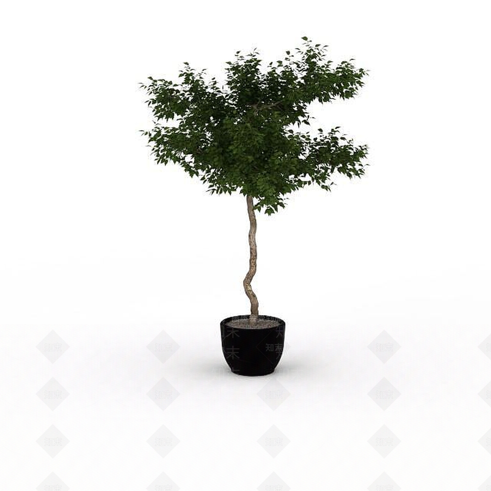 现代盆栽室内植物3D模型下载【ID:1196603640】