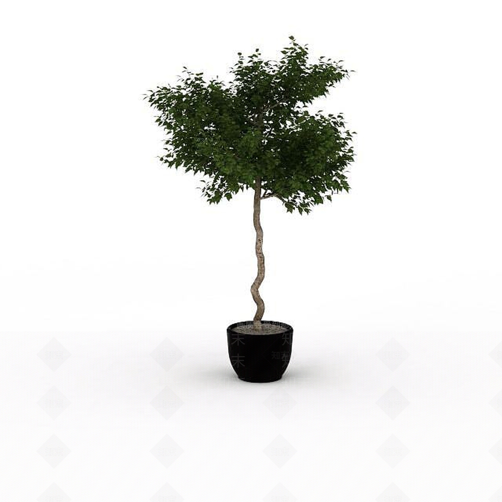 现代盆栽室内植物3D模型下载【ID:1196603640】