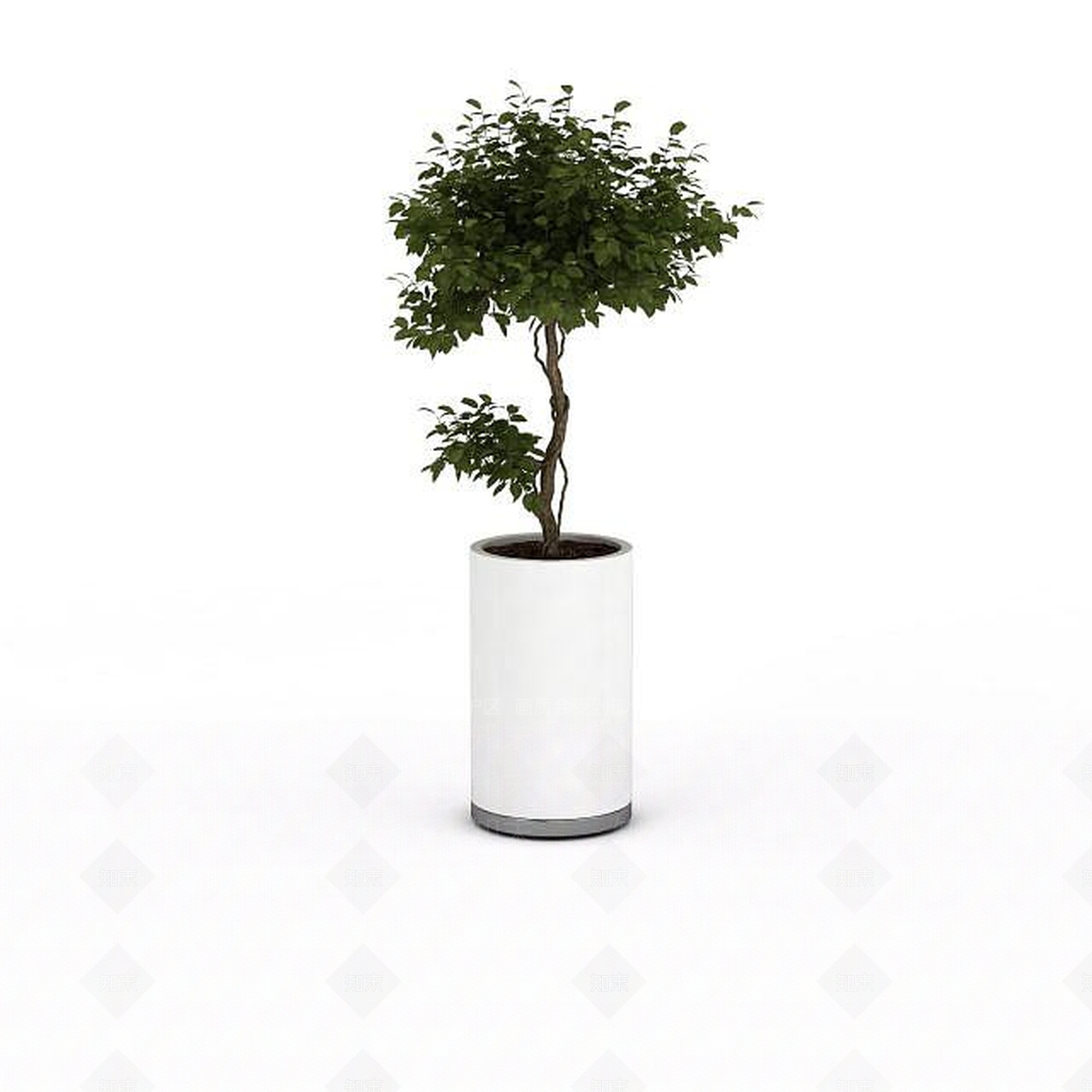 现代盆栽室内植物3D模型下载【ID:1196603697】
