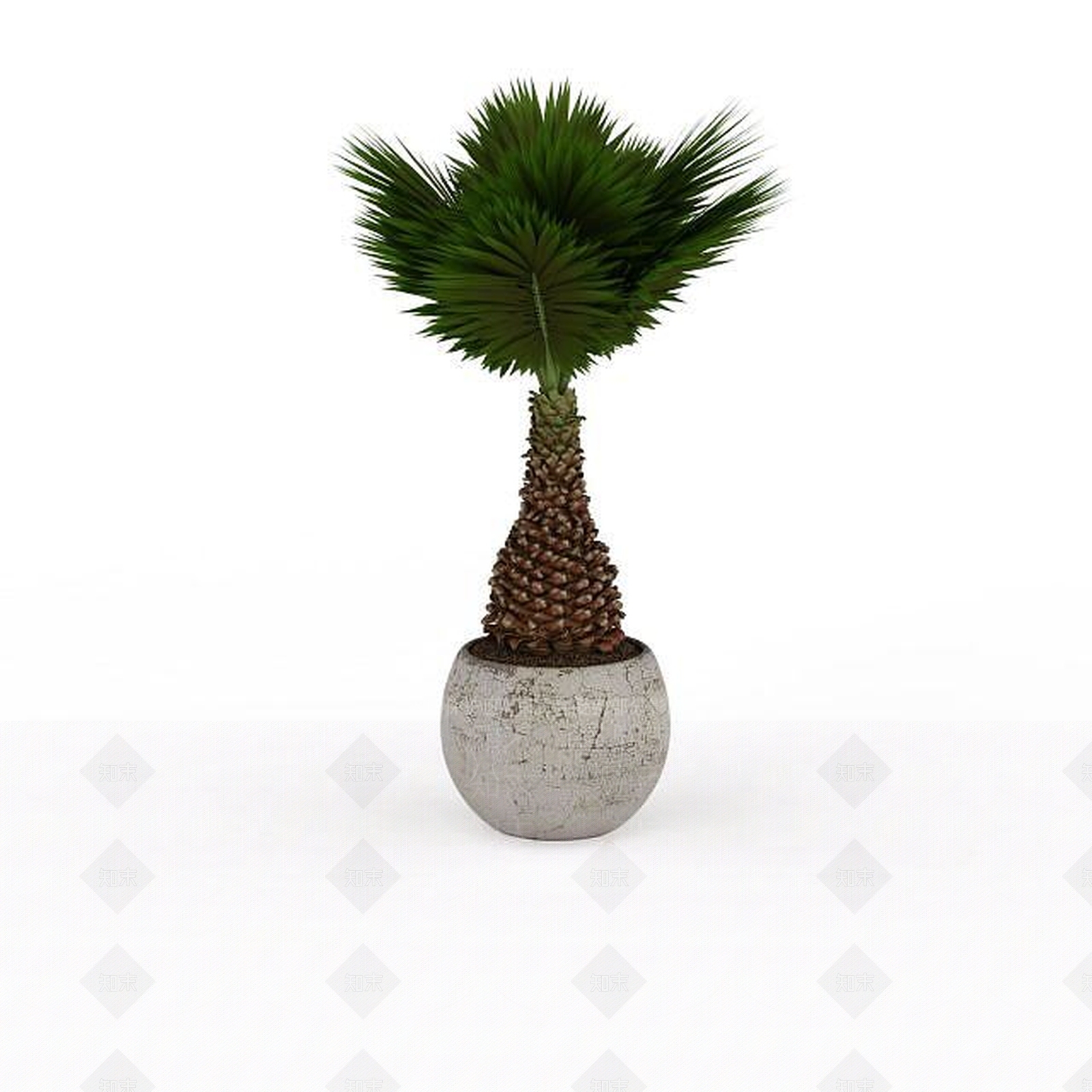 现代盆栽植物3D模型下载【ID:1196604201】