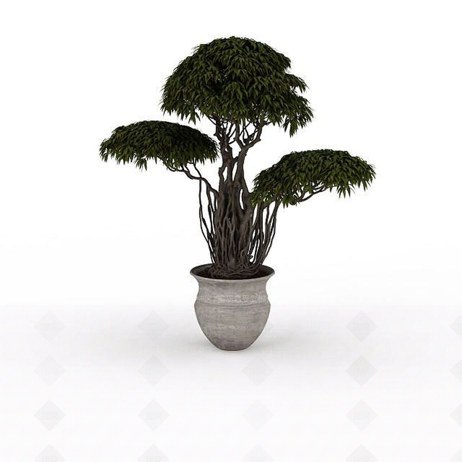 现代大型盆栽植物3D模型下载【ID:1196604529】