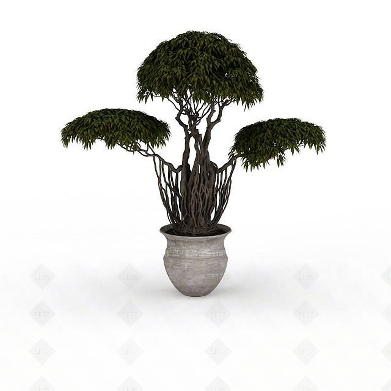 现代大型盆栽植物3D模型下载【ID:1196604529】