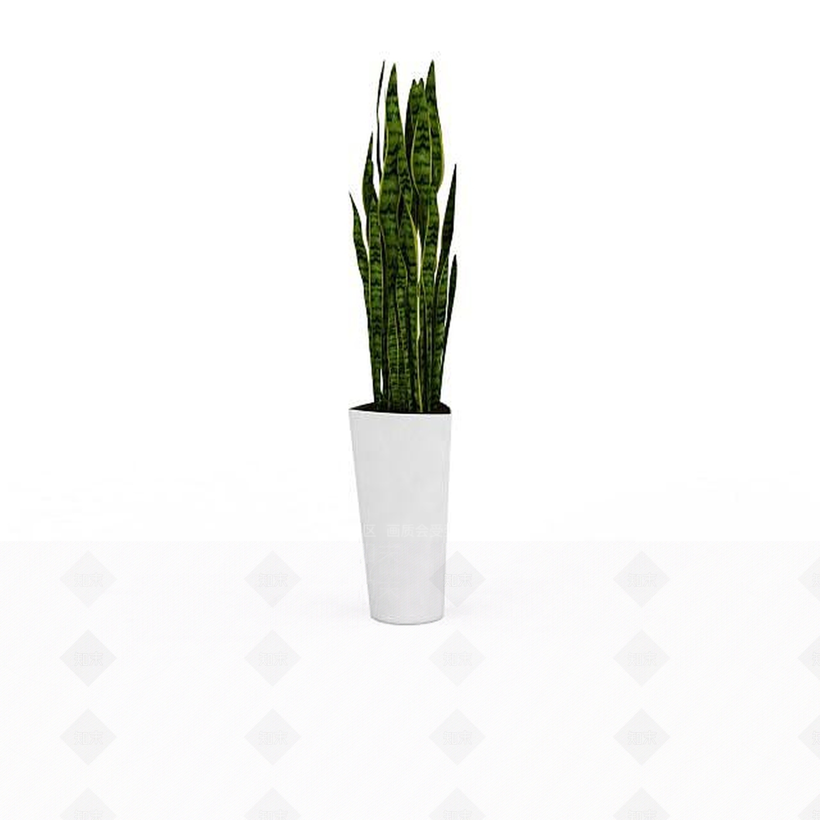 现代室内观赏植物3D模型下载【ID:1196604654】