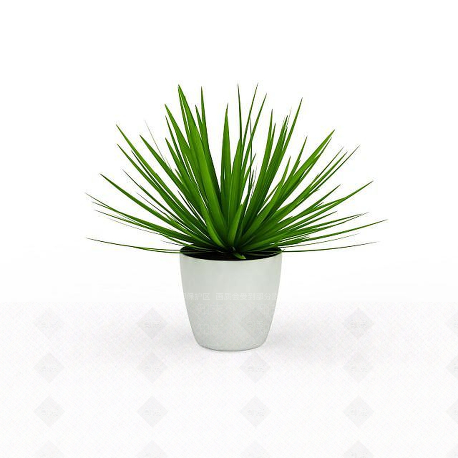 现代室内盆栽植物3D模型下载【ID:1196604699】