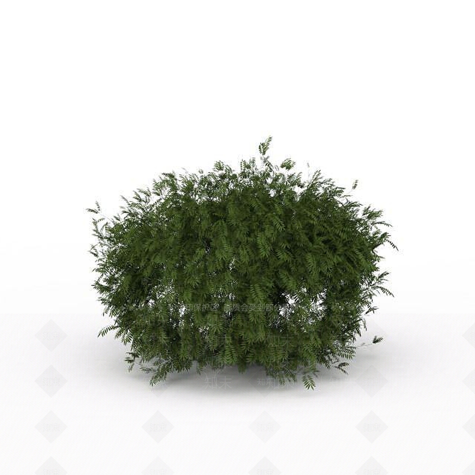 现代灌木植物3D模型下载【ID:1196607598】