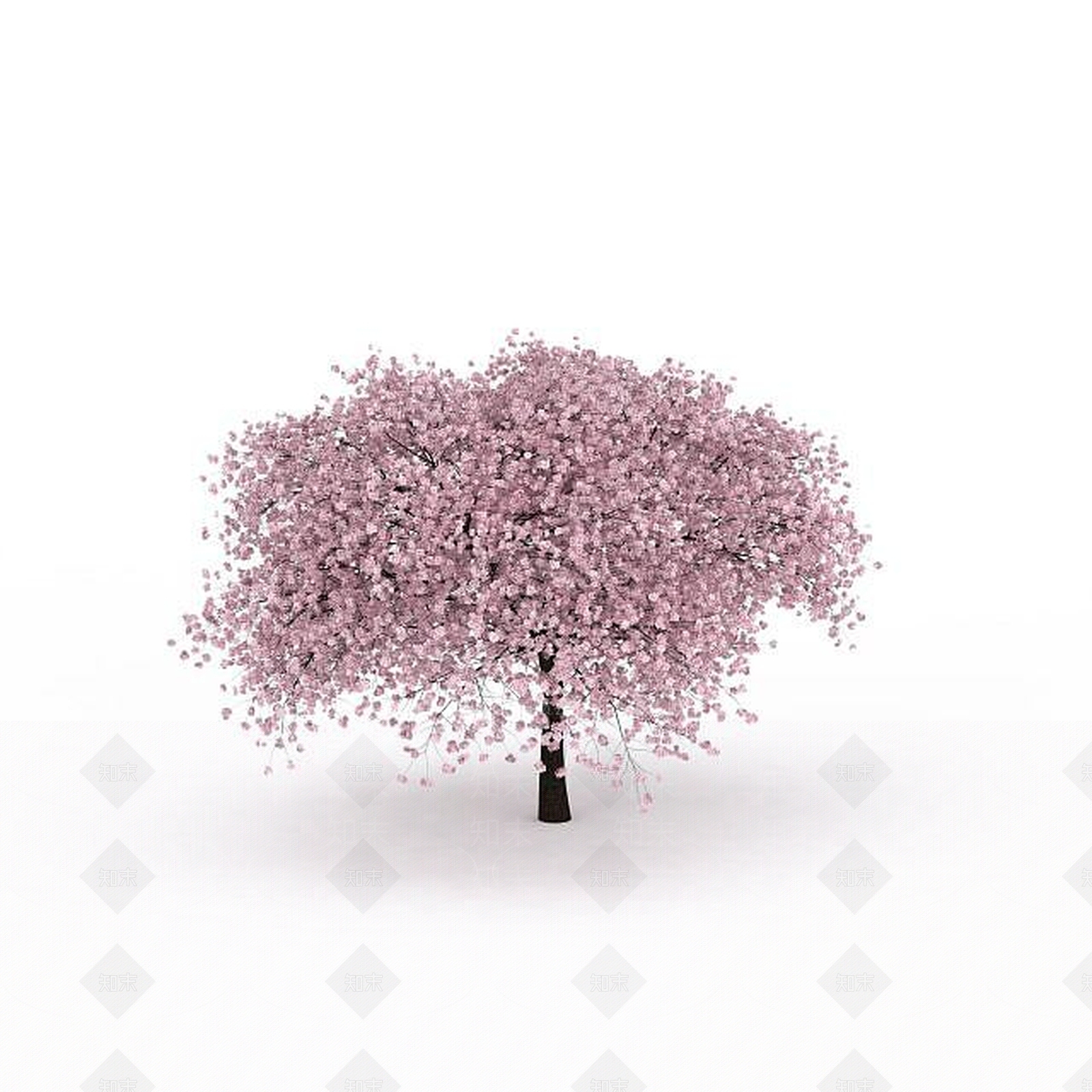 现代粉色花朵树3D模型下载【ID:1196958460】