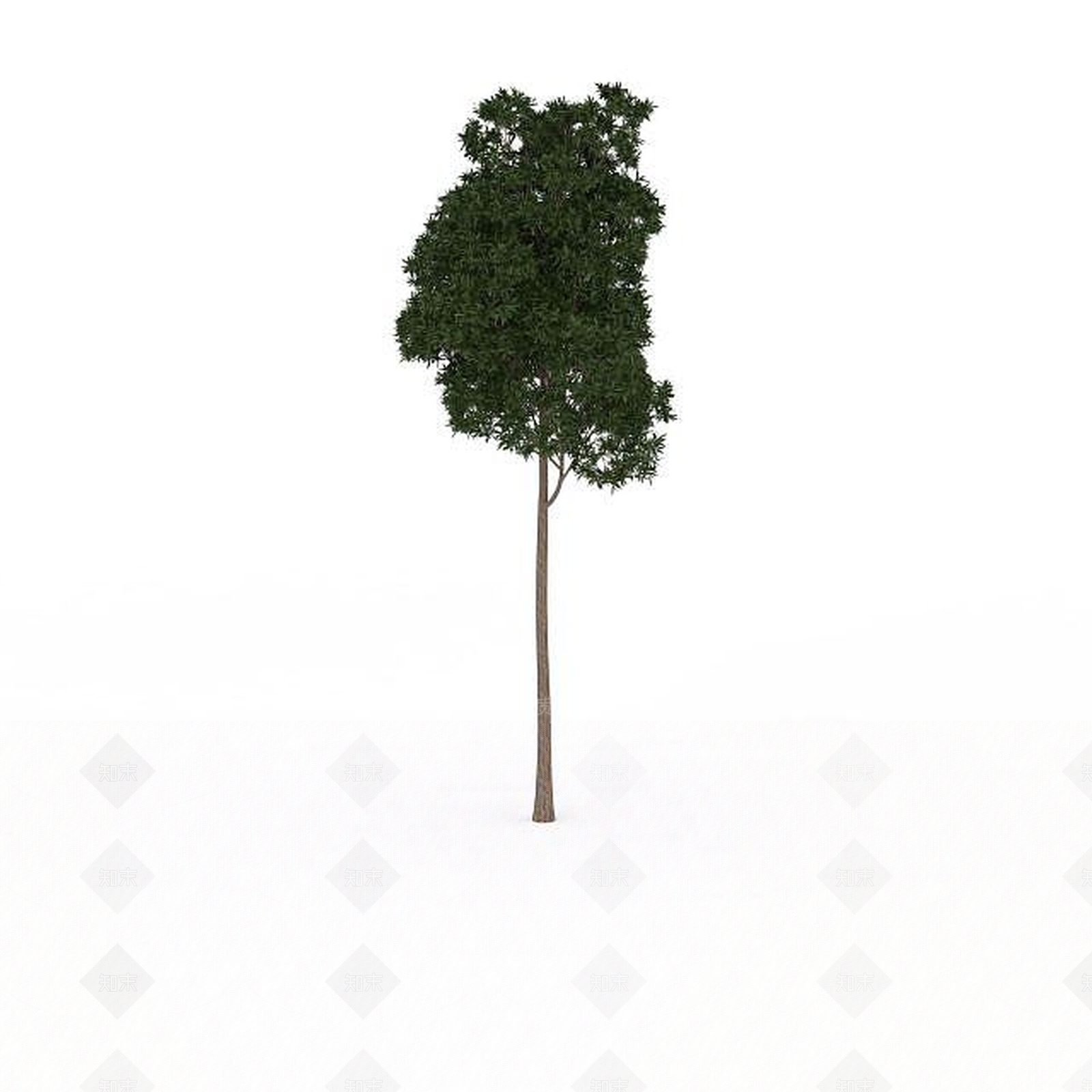 现代公园景观树3D模型下载【ID:1196607792】