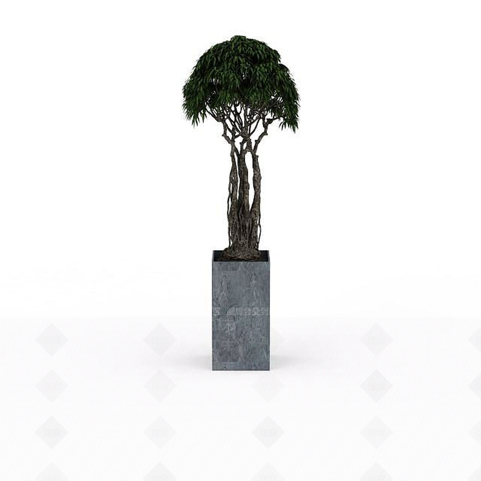 现代办公桌装饰树3D模型下载【ID:1196619503】