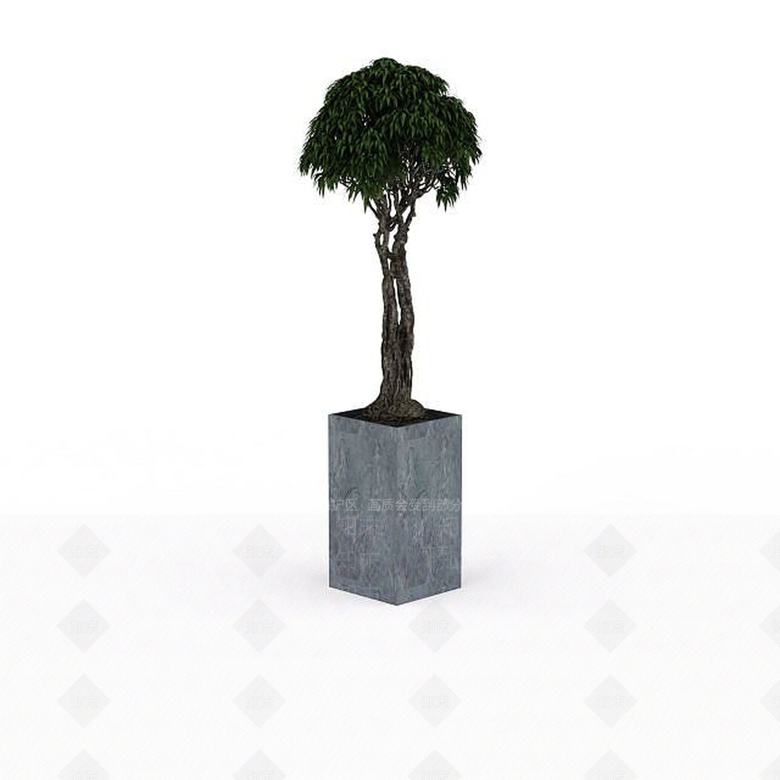 现代办公桌装饰树3D模型下载【ID:1196619503】