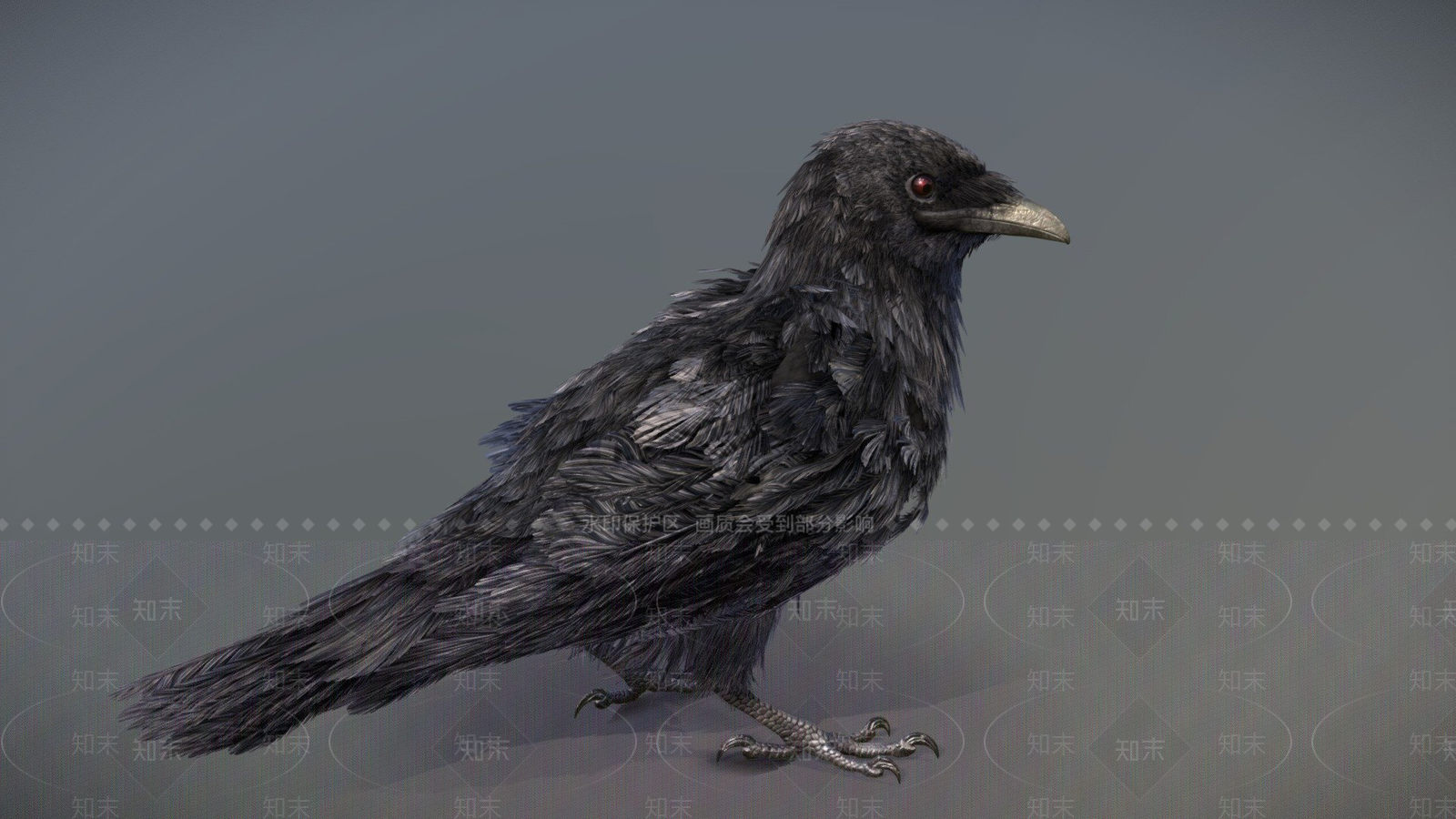 其他动物3D模型下载【ID:1196625642】