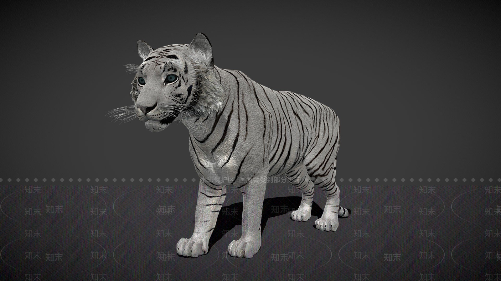 其他动物3D模型下载【ID:1196627718】