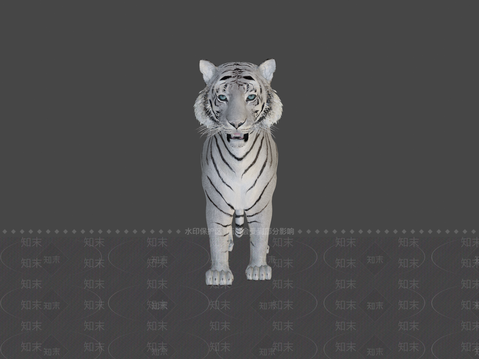 其他动物3D模型下载【ID:1196627718】