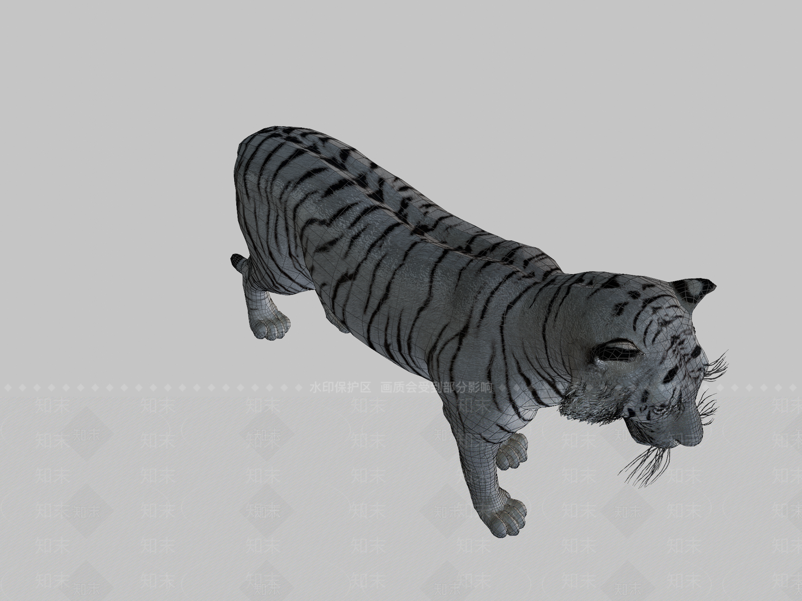 其他动物3D模型下载【ID:1196627718】
