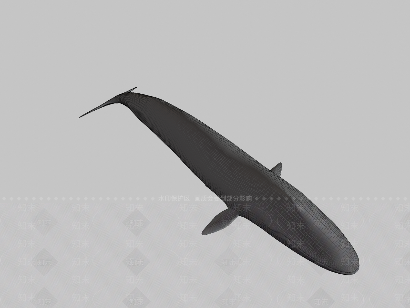 其他动物3D模型下载【ID:1196629054】