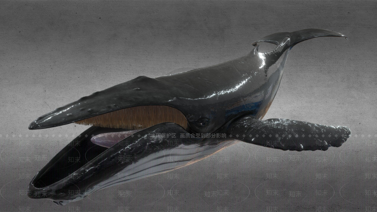 其他动物3D模型下载【ID:1196629554】