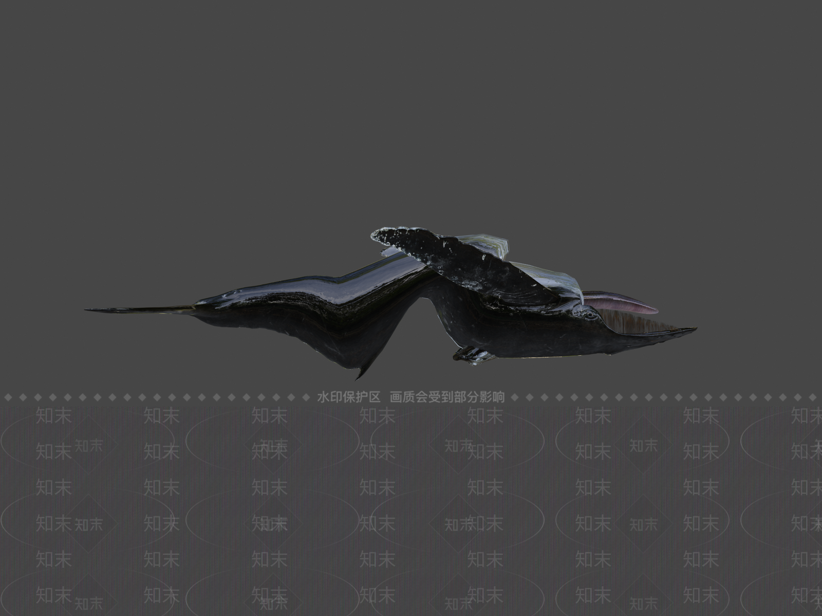 其他动物3D模型下载【ID:1196629554】