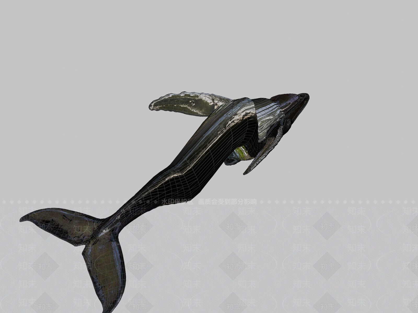 其他动物3D模型下载【ID:1196629554】