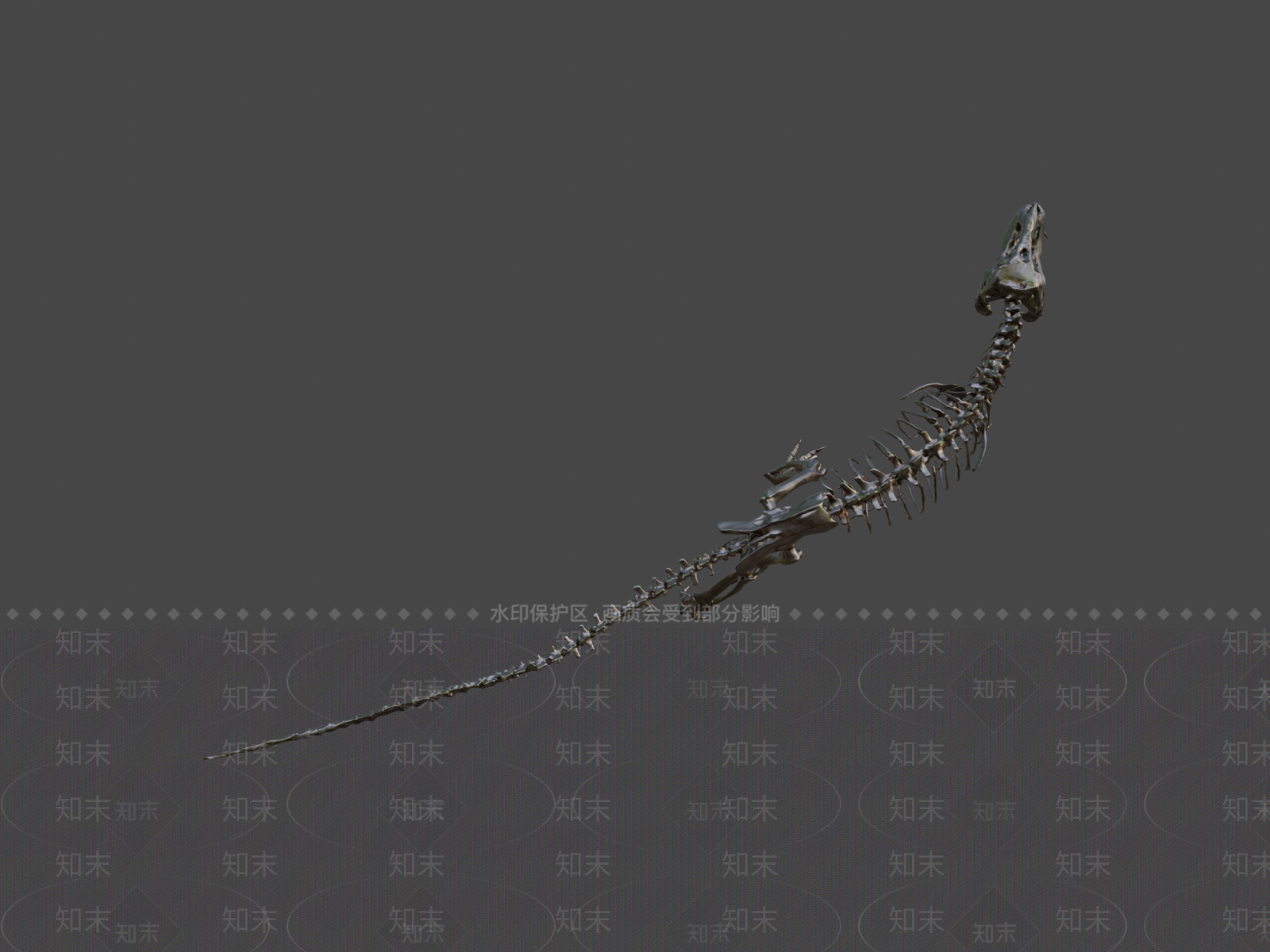其他动物3D模型下载【ID:1196629849】