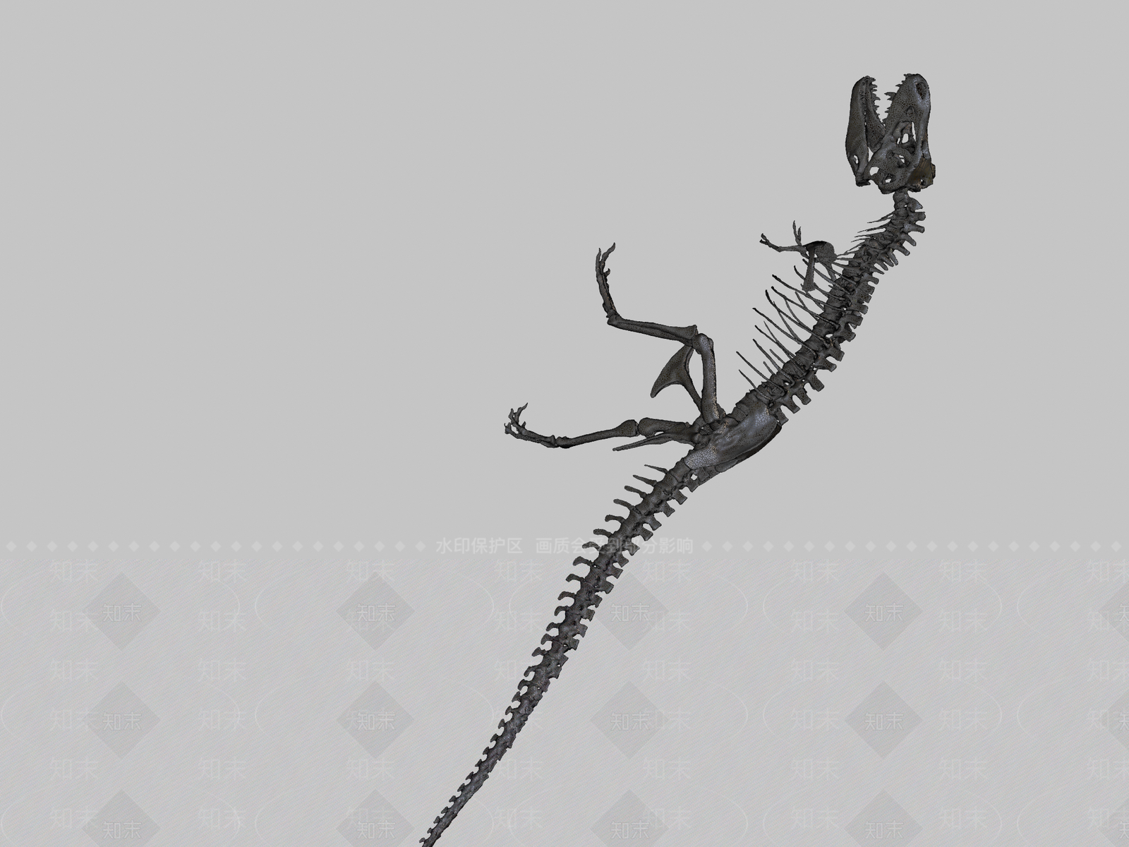其他动物3D模型下载【ID:1196629849】