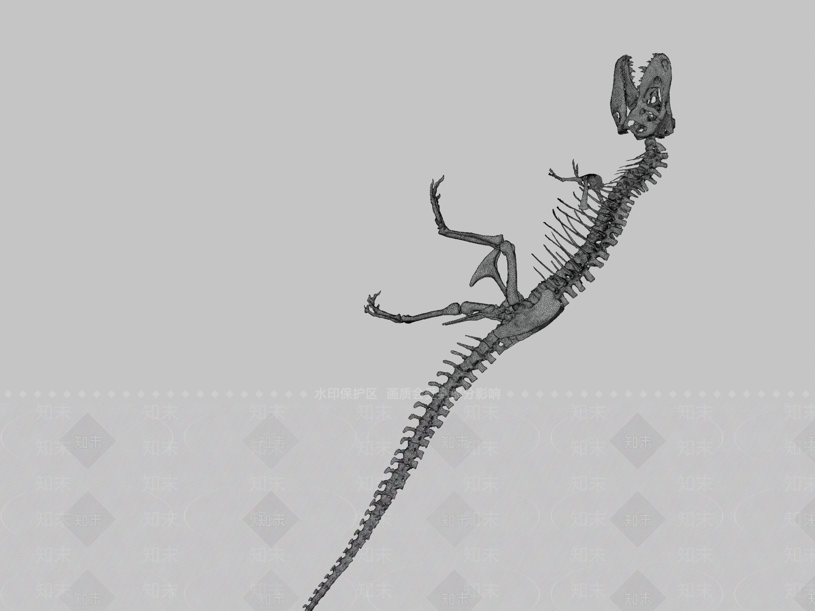 其他动物3D模型下载【ID:1196629849】