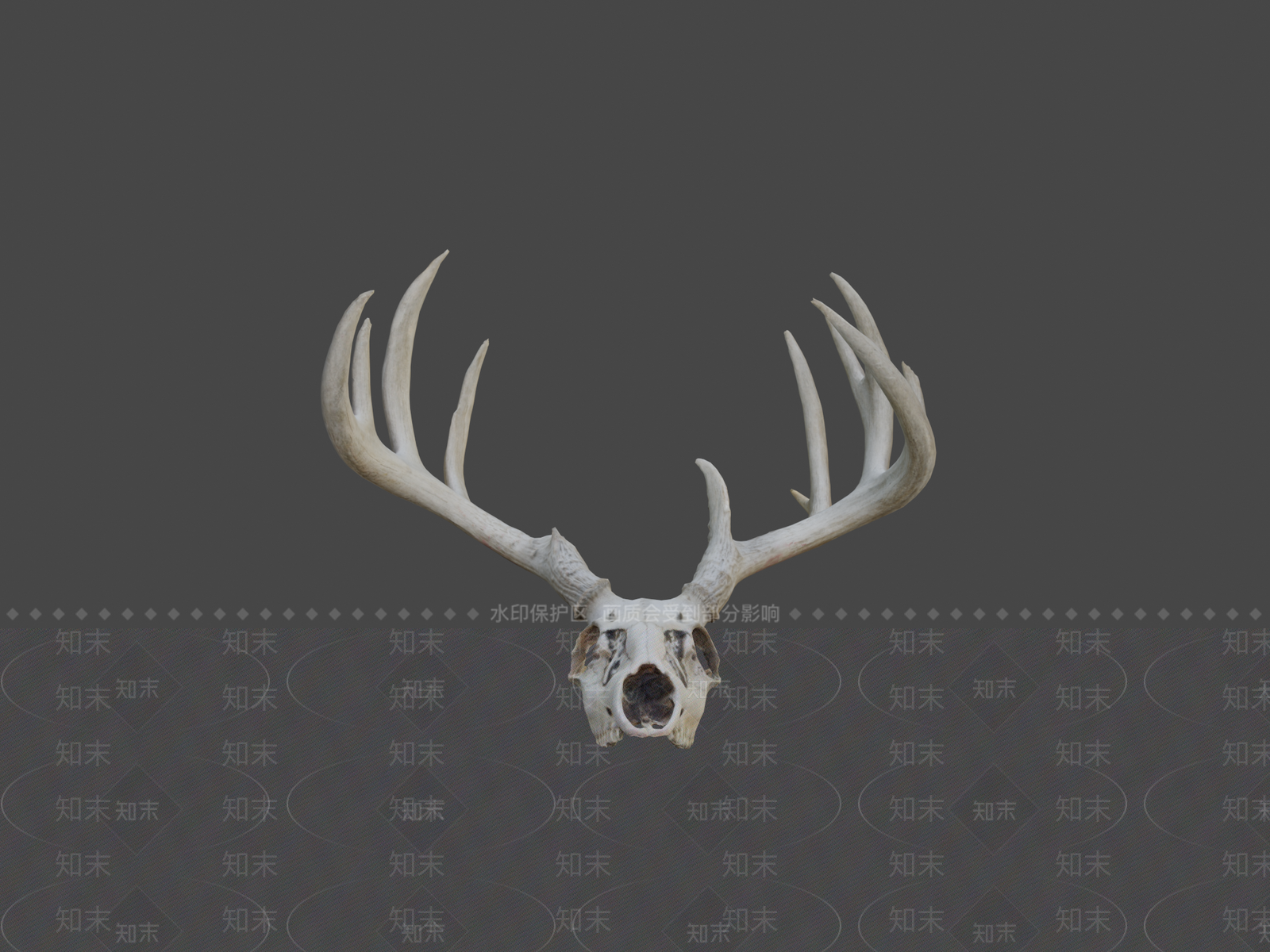 其他动物3D模型下载【ID:1196631731】