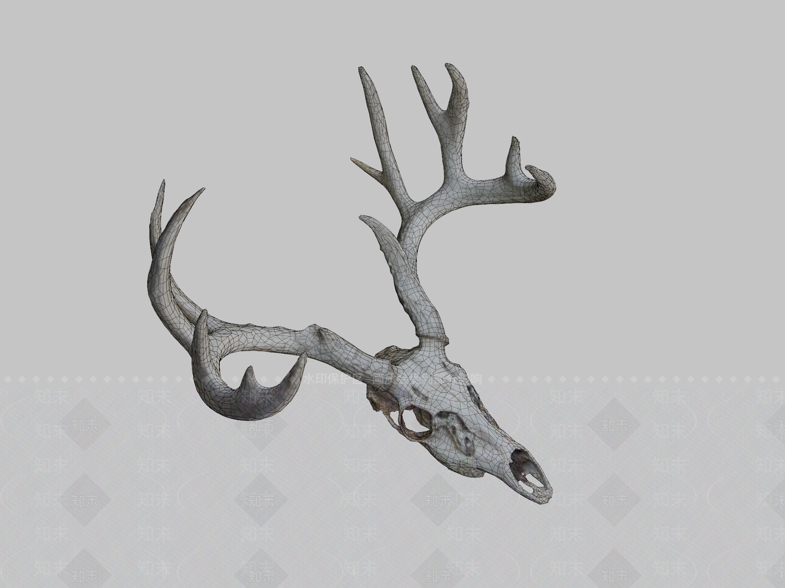 其他动物3D模型下载【ID:1196631731】