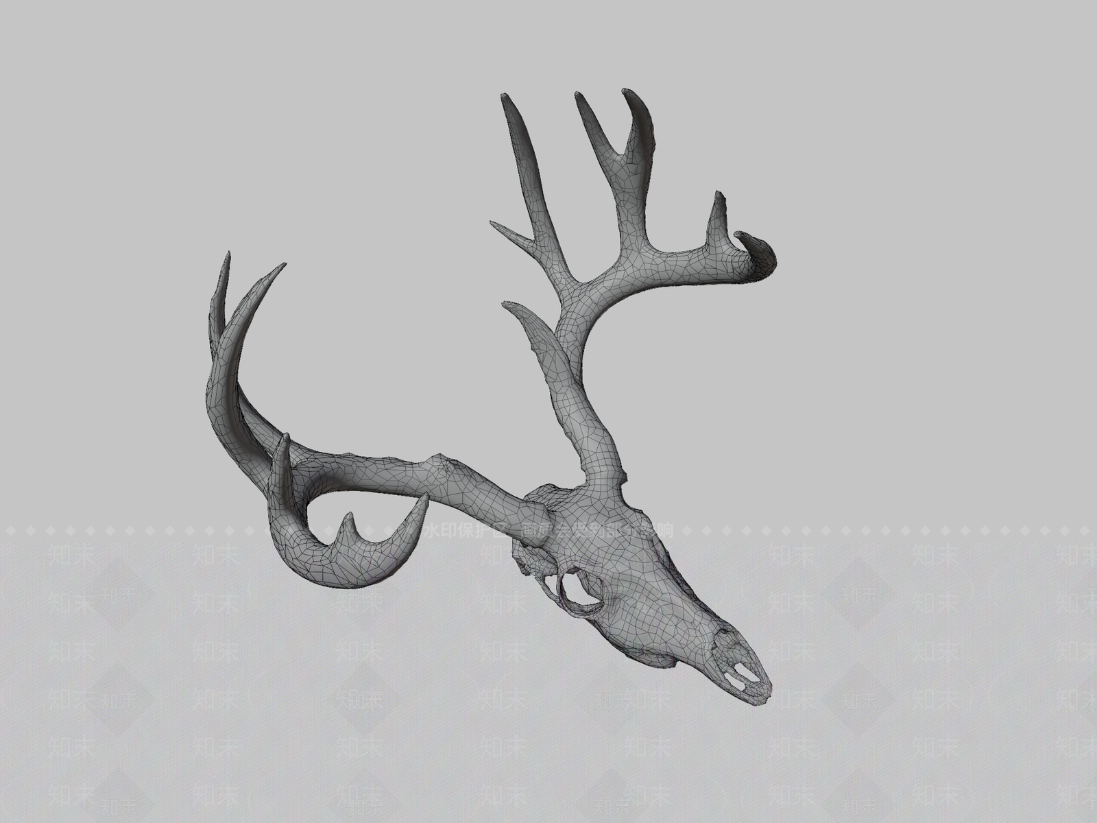 其他动物3D模型下载【ID:1196631731】