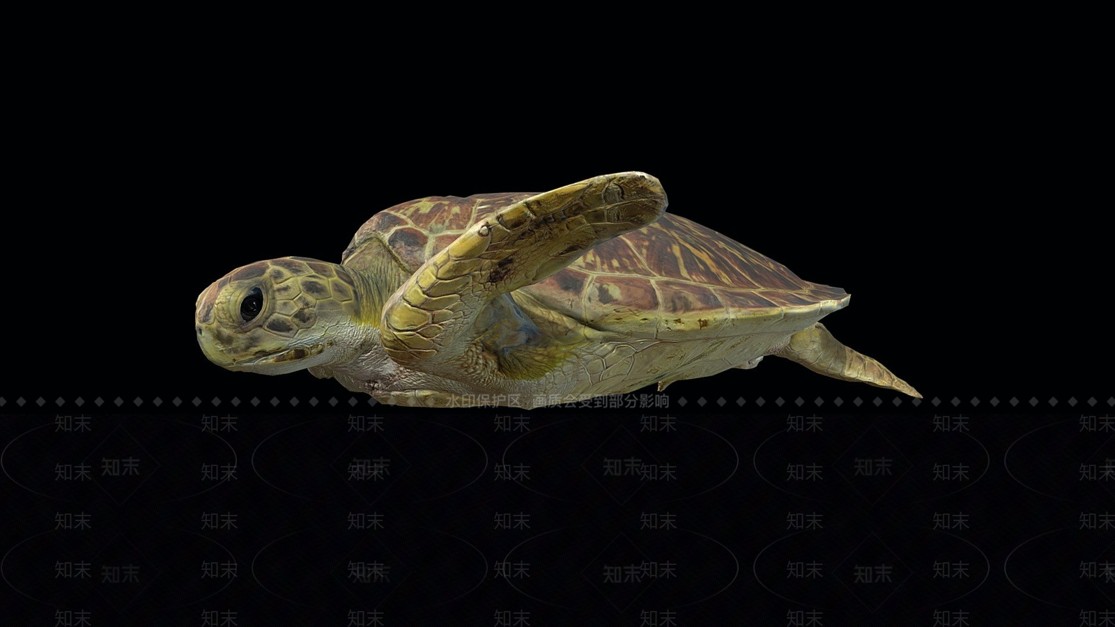 其他生活用品海龟3D模型下载【ID:1196633928】