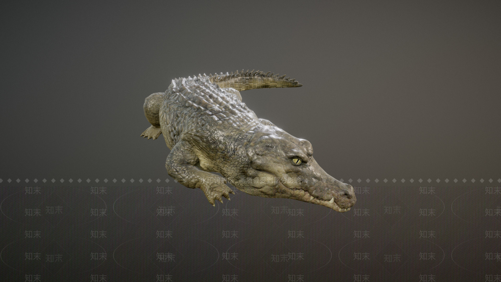其他动物3D模型下载【ID:1196635437】