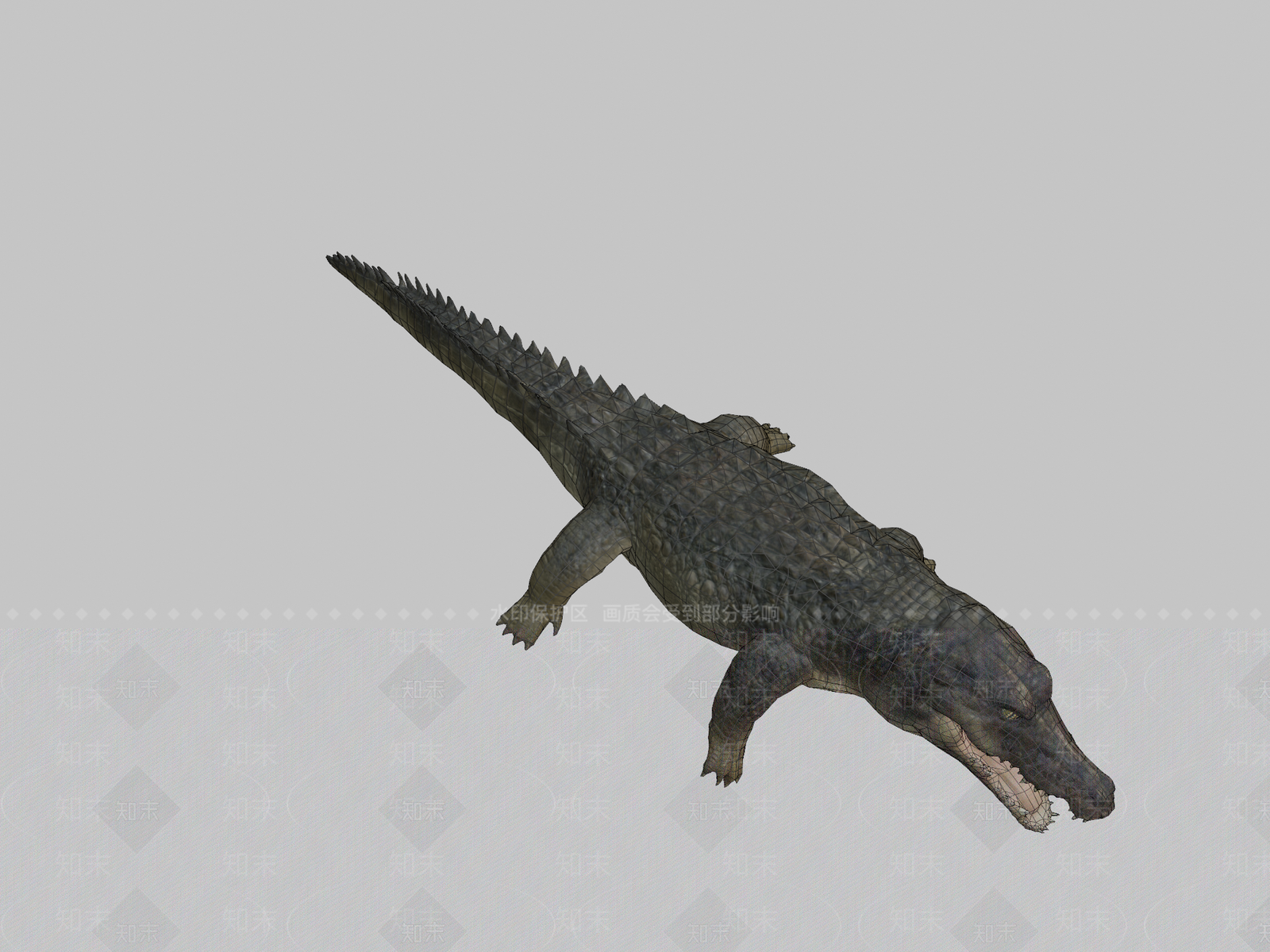 其他动物3D模型下载【ID:1196635437】