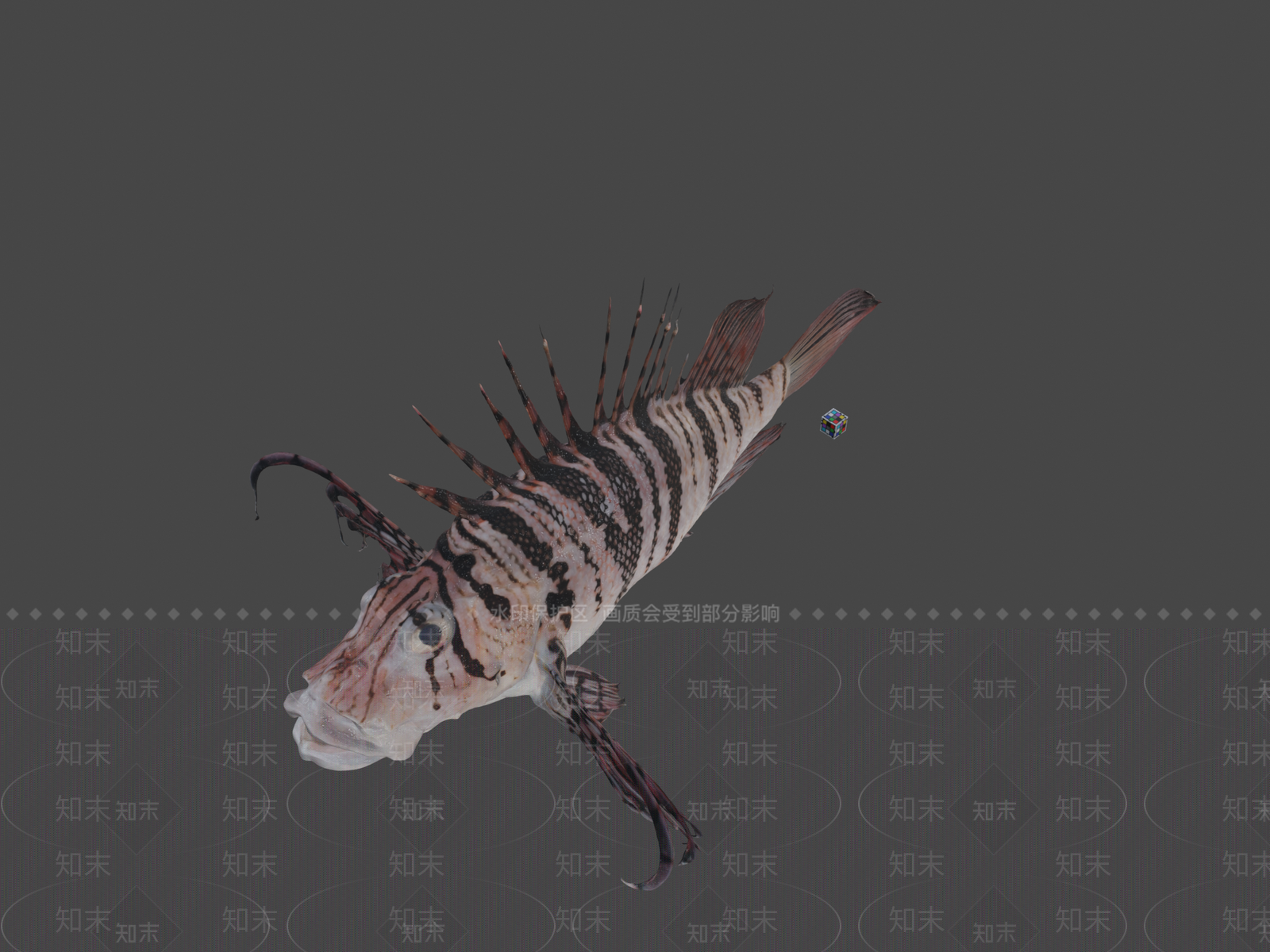 其他动物3D模型下载【ID:1196637846】
