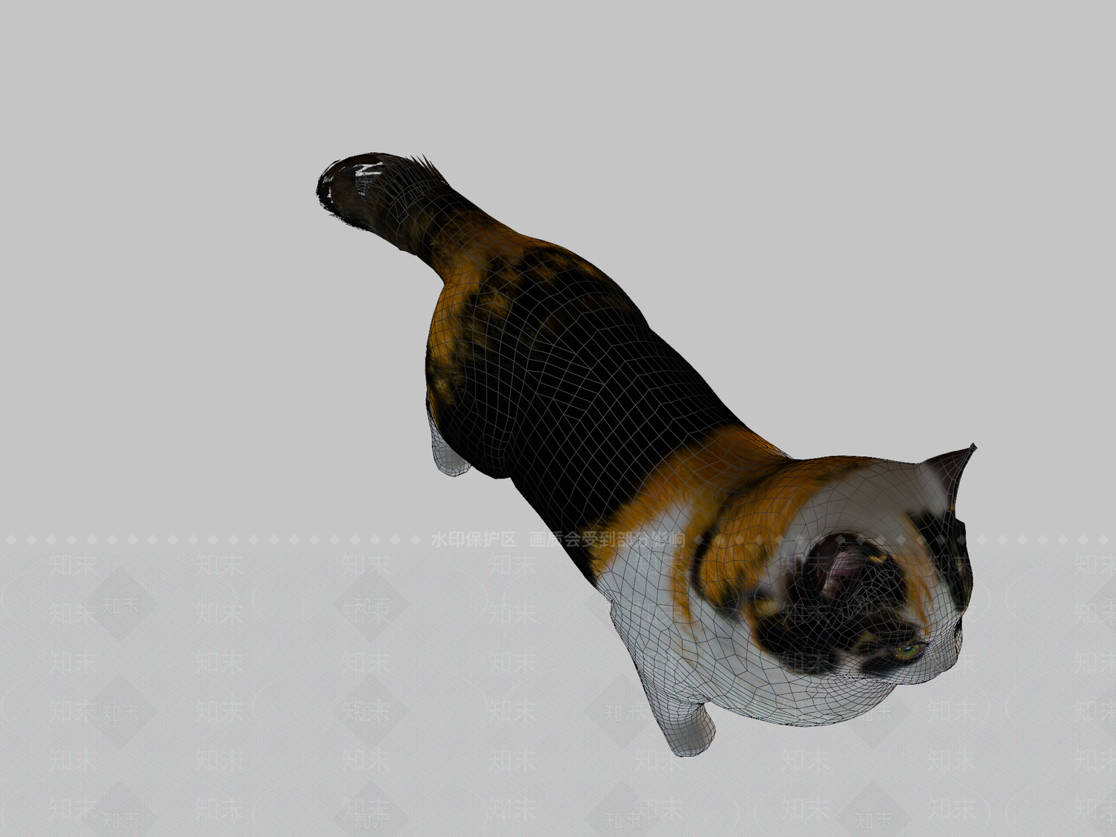 其他动物3D模型下载【ID:1196639051】