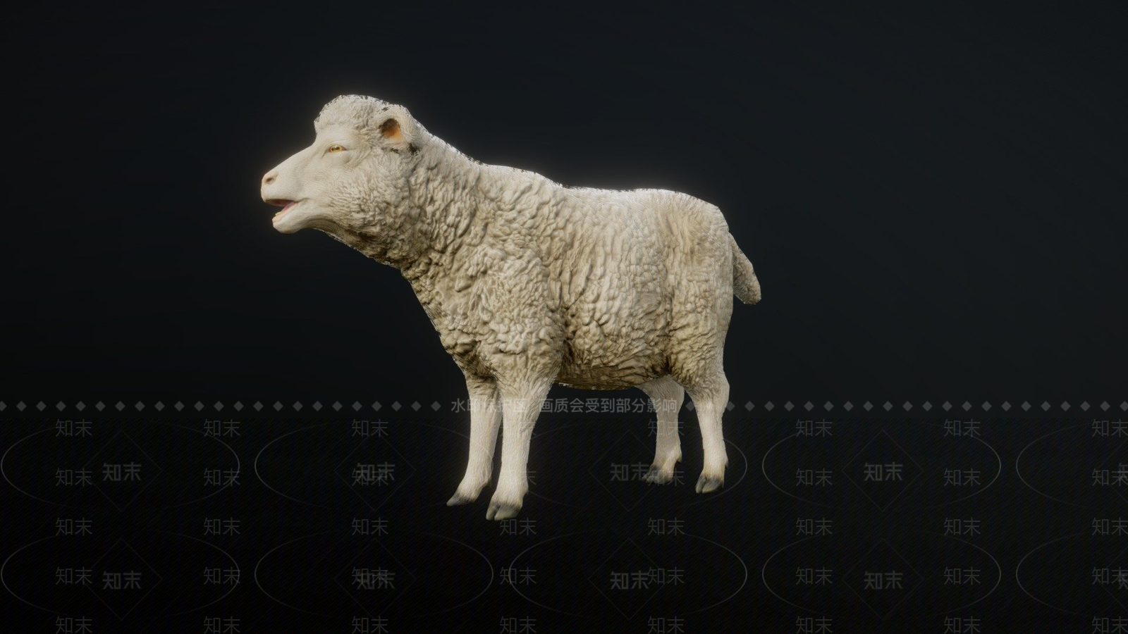 其他动物3D模型下载【ID:1196642191】