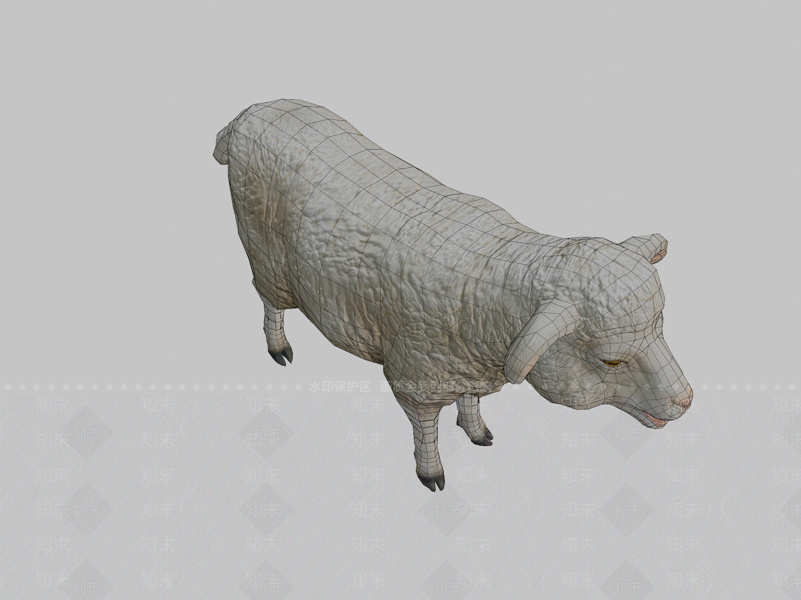 其他动物3D模型下载【ID:1196642191】