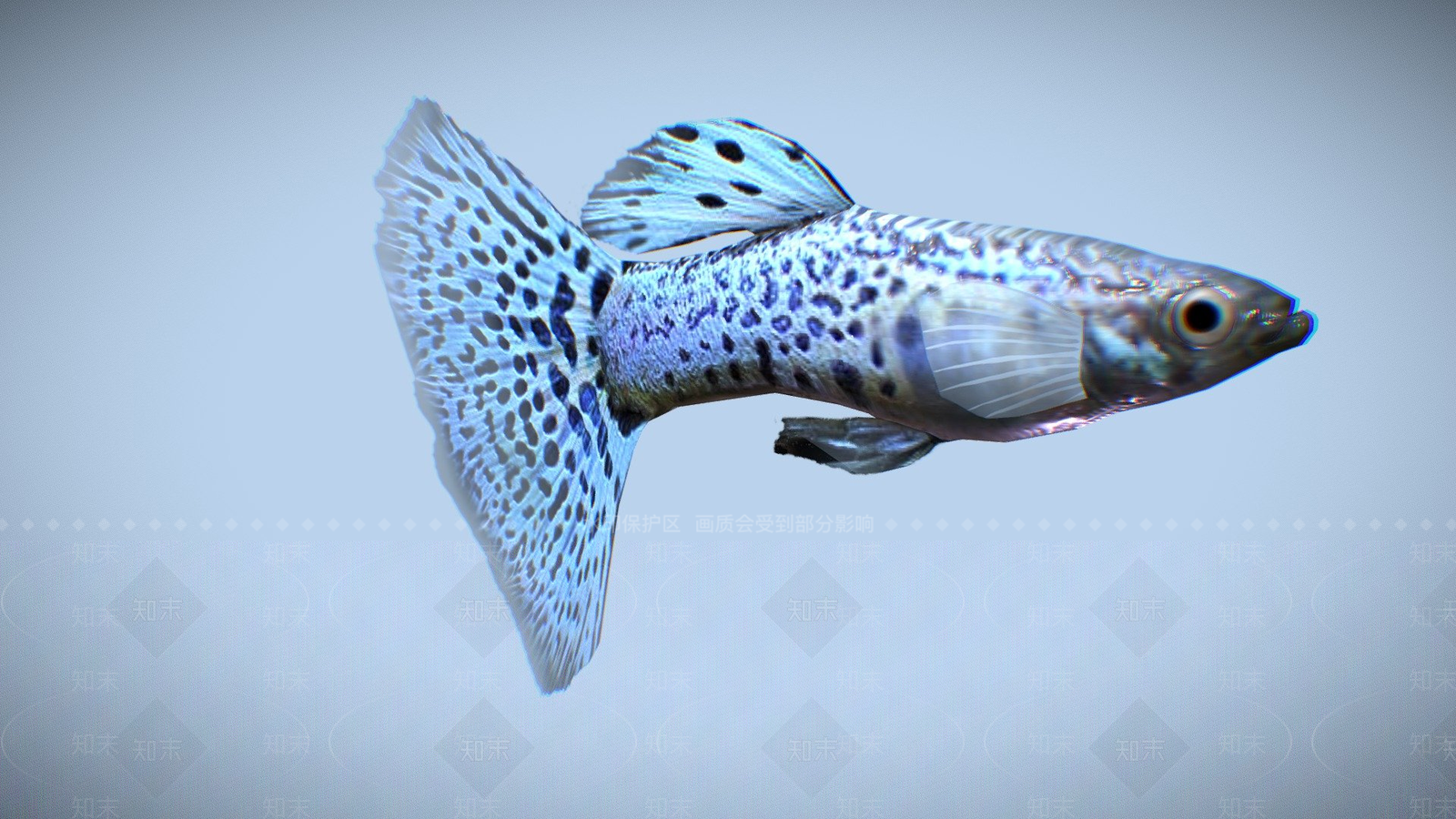 其他动物3D模型下载【ID:1196648527】