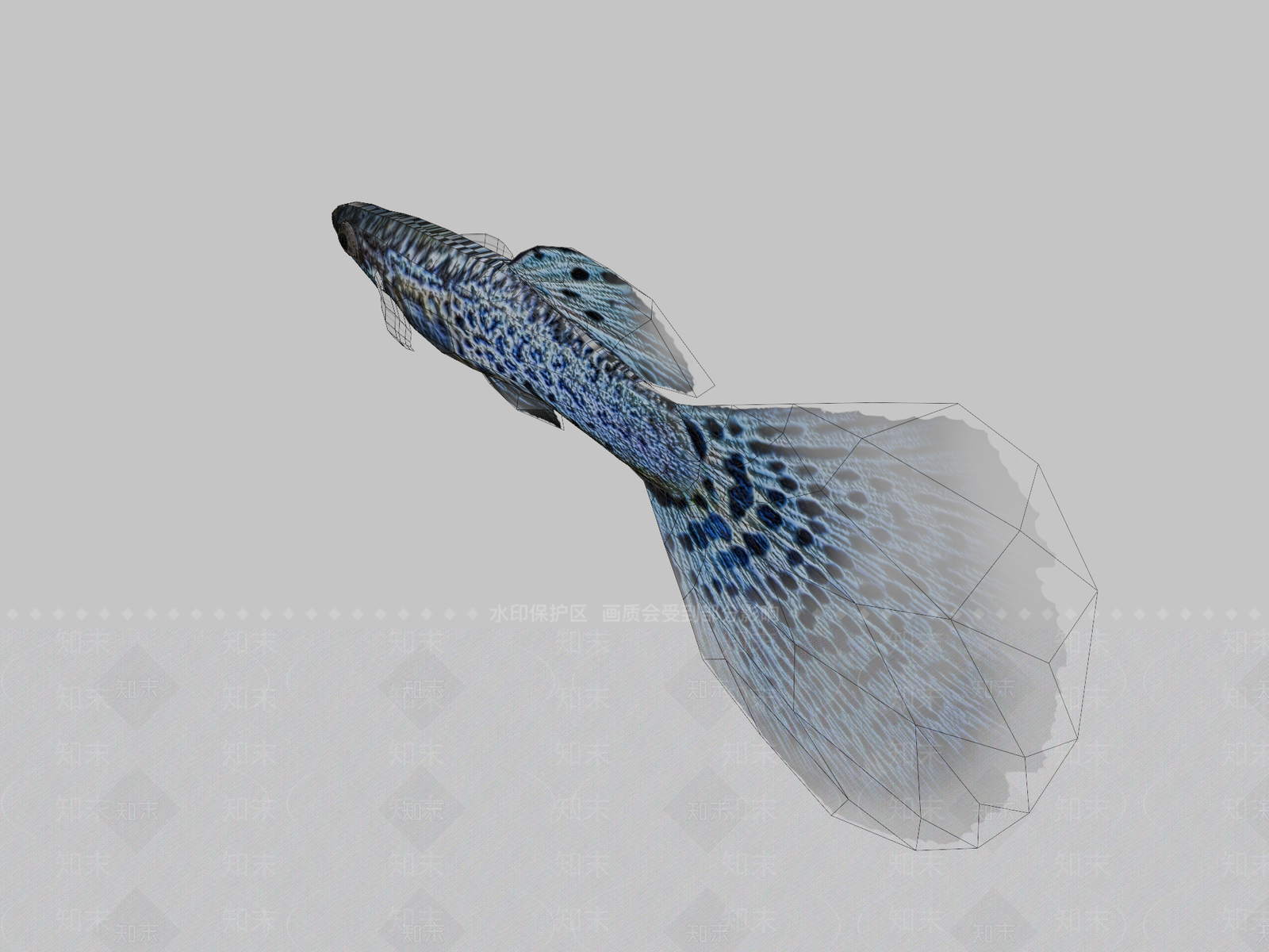 其他动物3D模型下载【ID:1196648527】