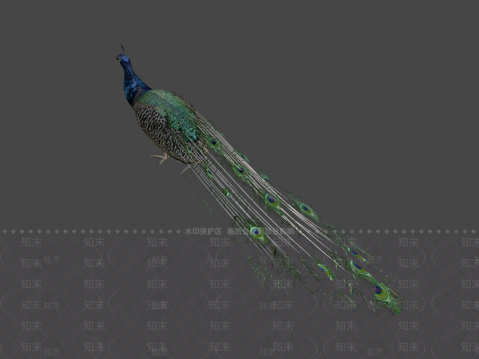 其他动物3D模型下载【ID:1196650650】