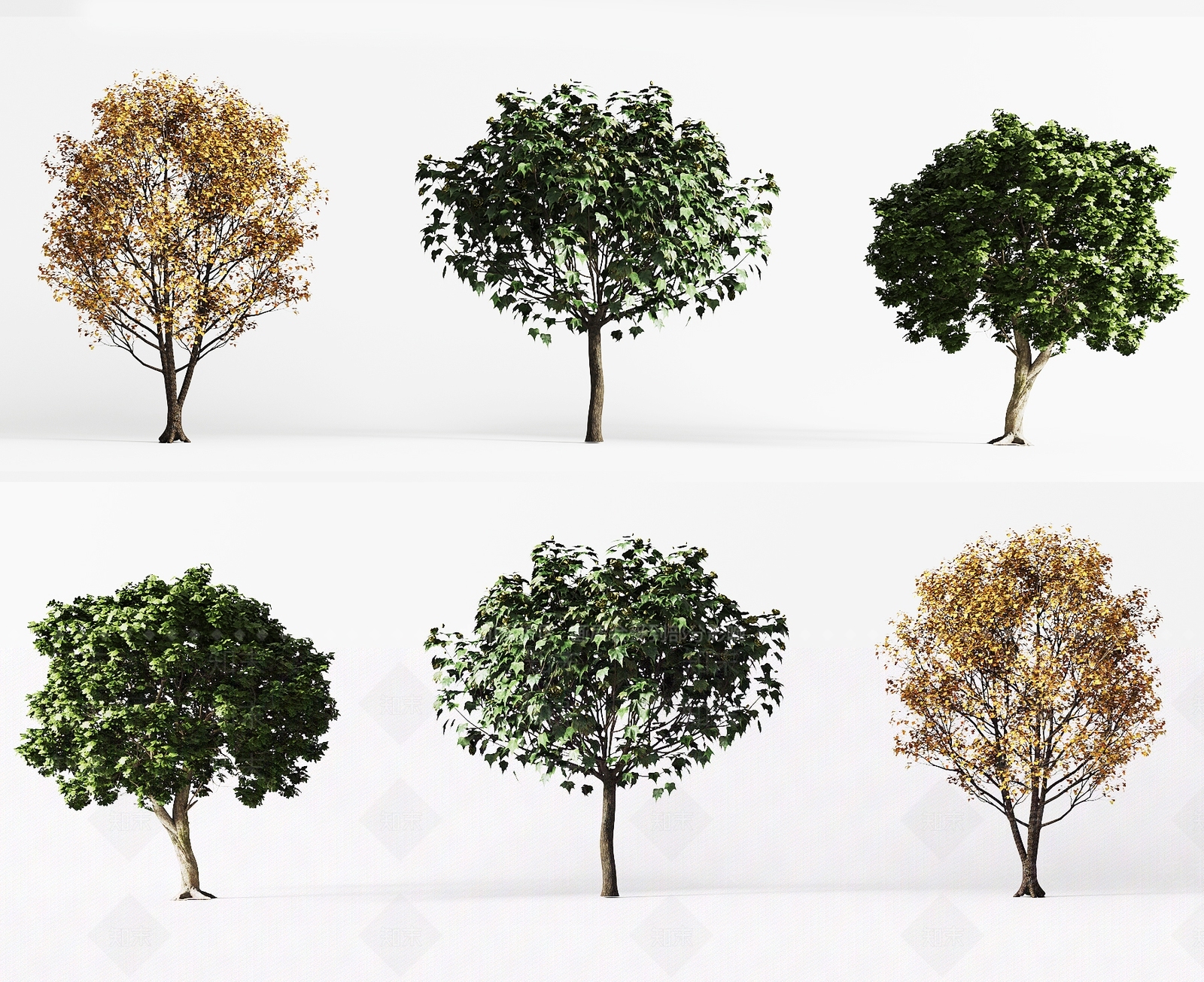 景观树3D模型下载【ID:1196673212】