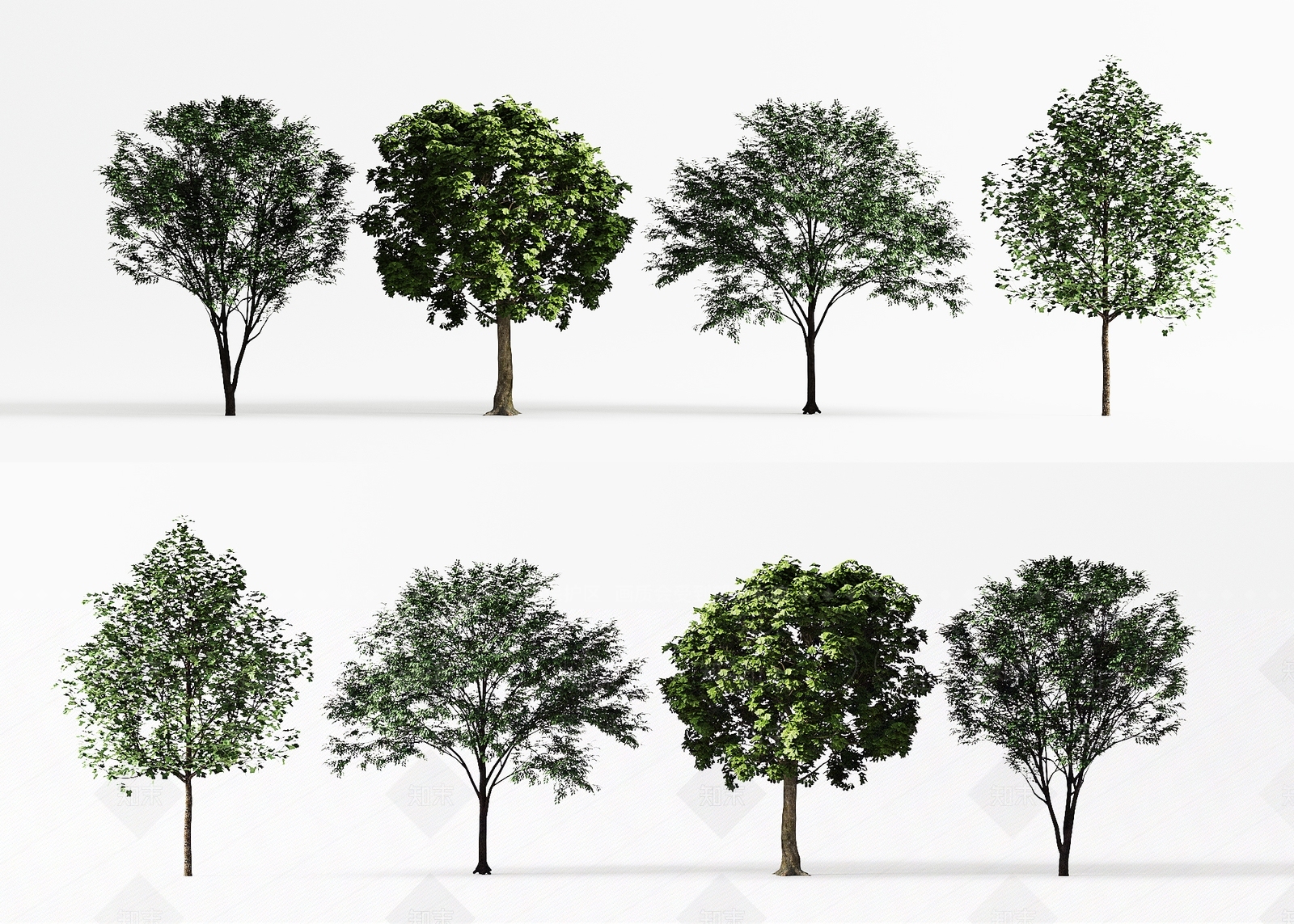 景观树3D模型下载【ID:1196674012】